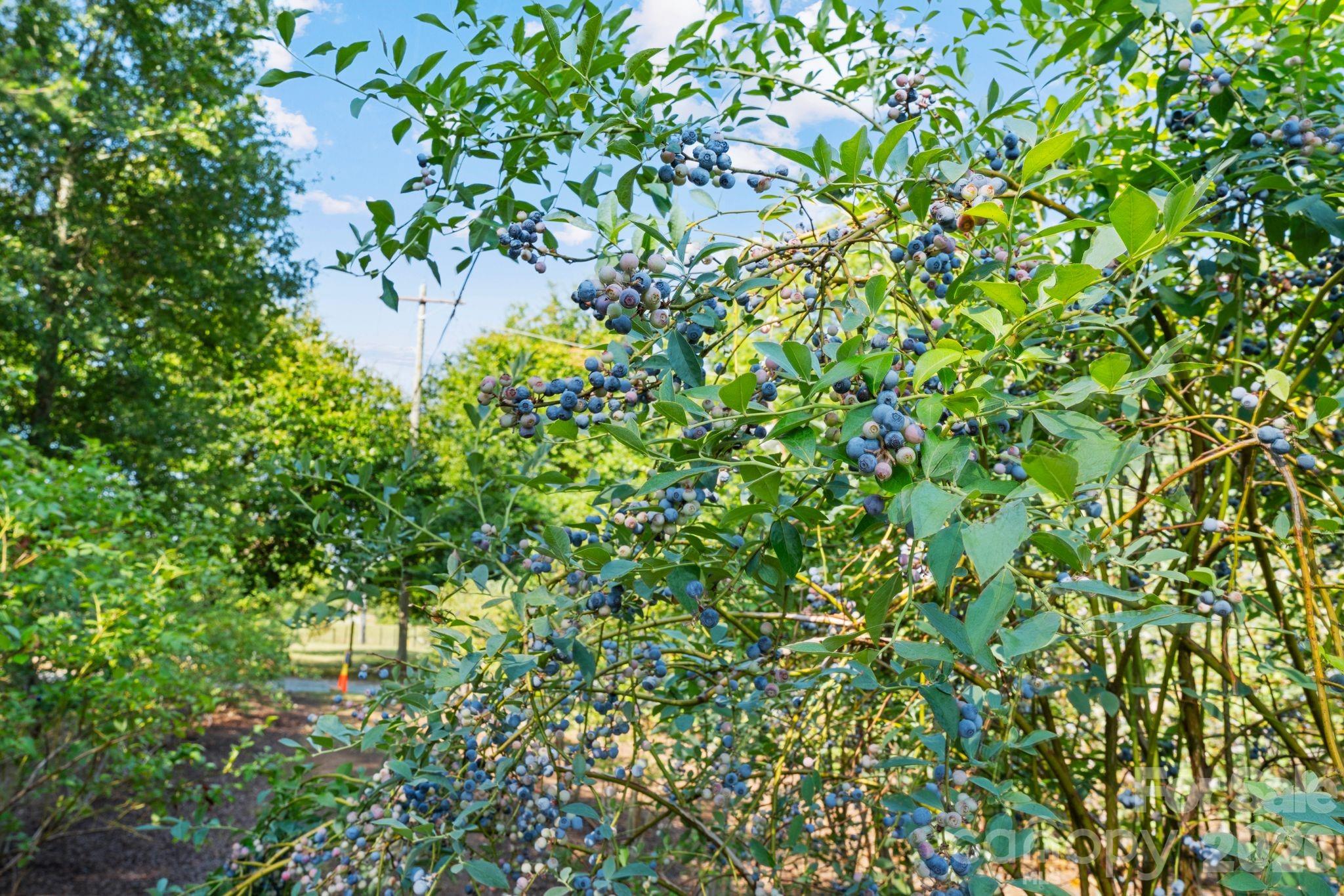 1483 Hopewell Church Road — Catawba