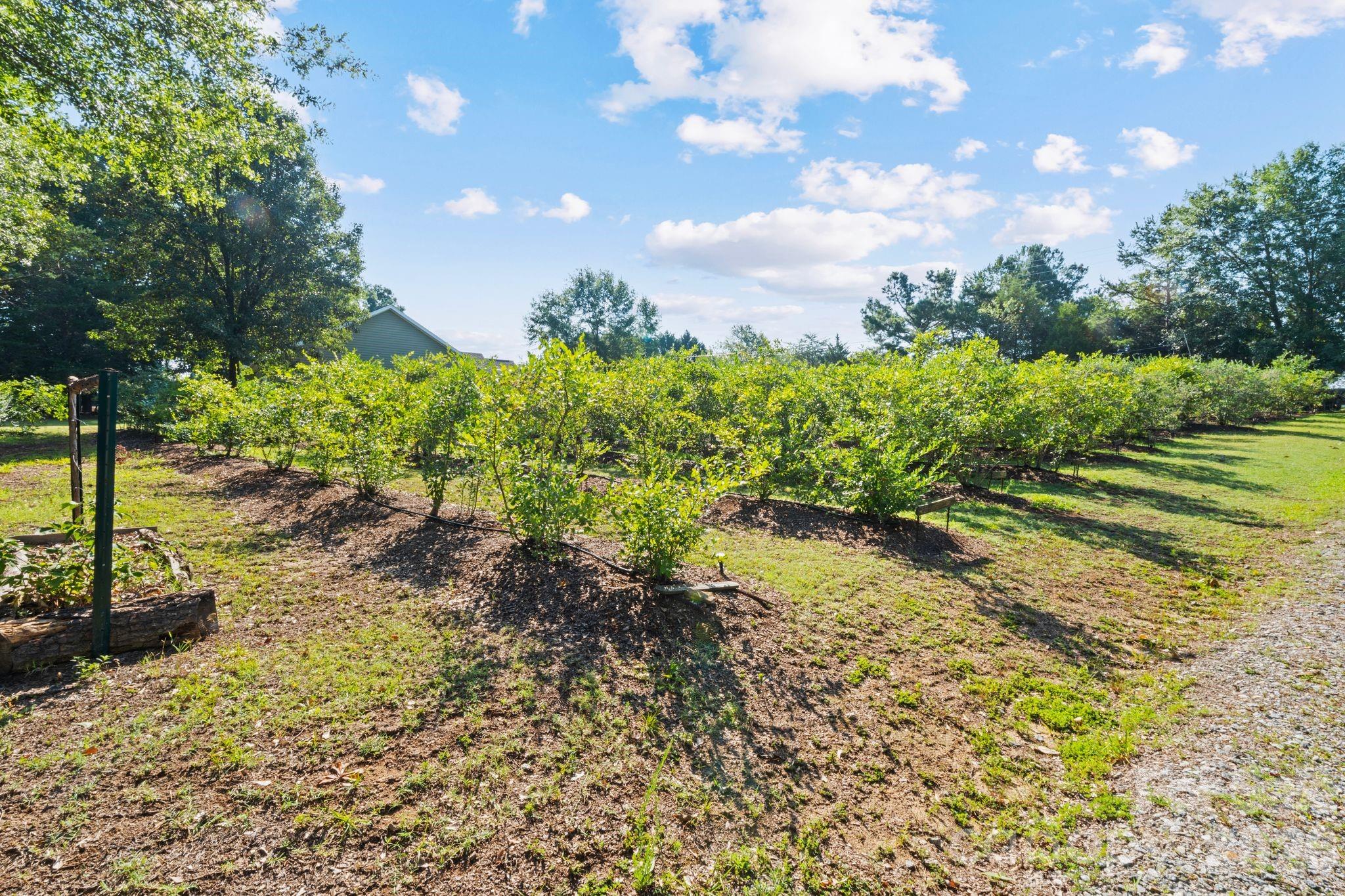 1483 Hopewell Church Road — Catawba