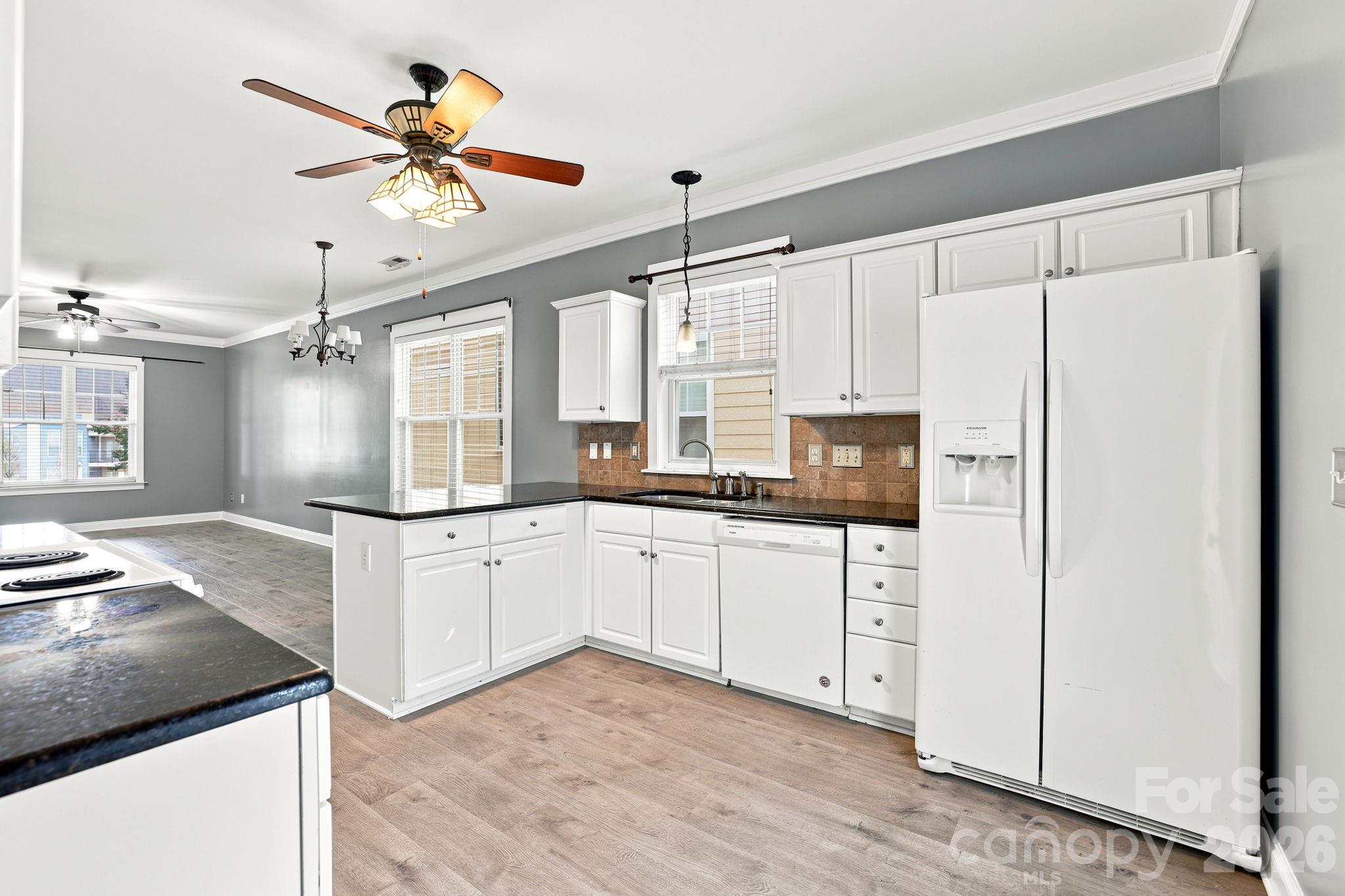 11209 Blue Cedar Lane — Charlotte