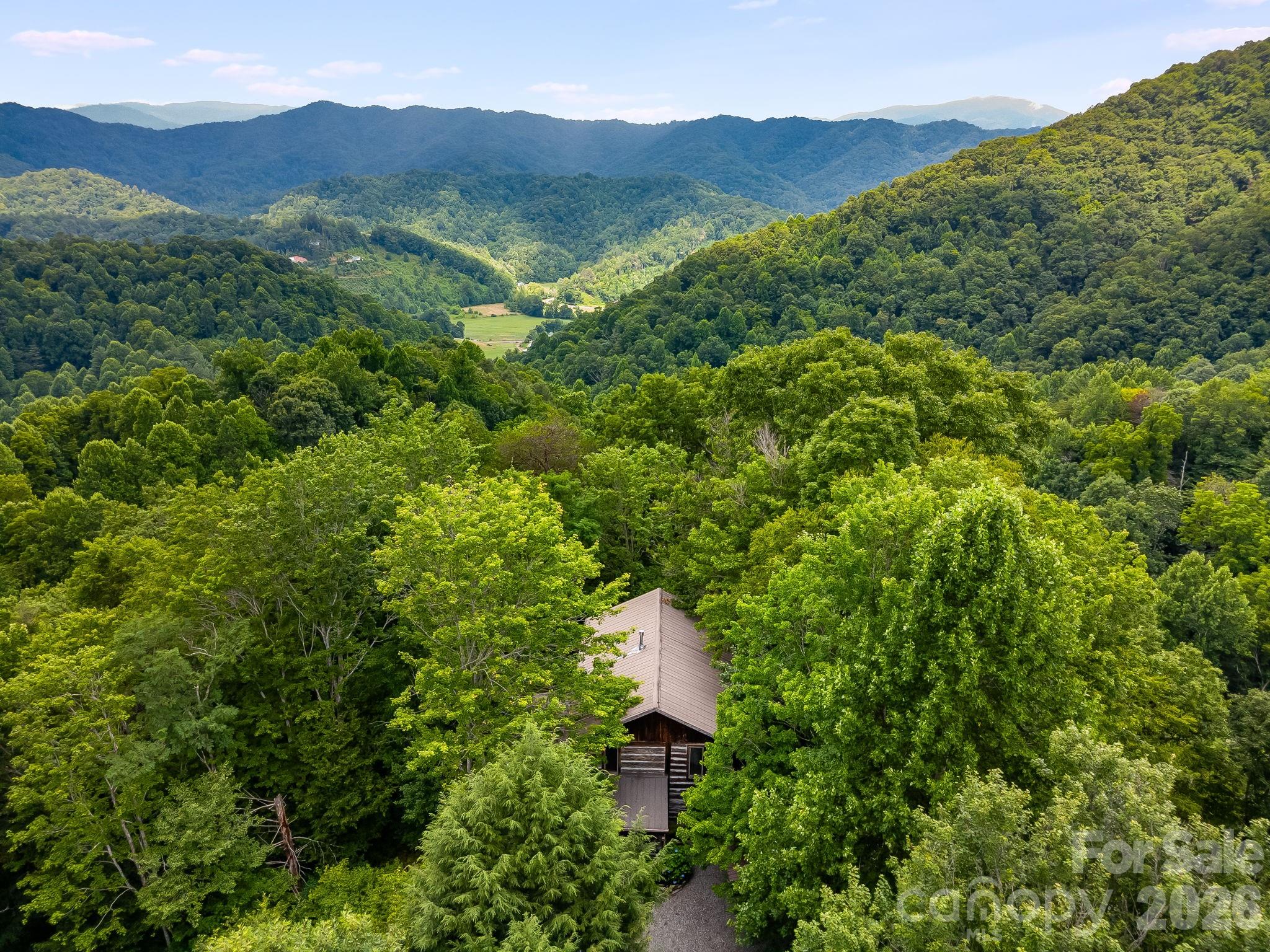 1390 Baltimore Branch Road — Hot Springs