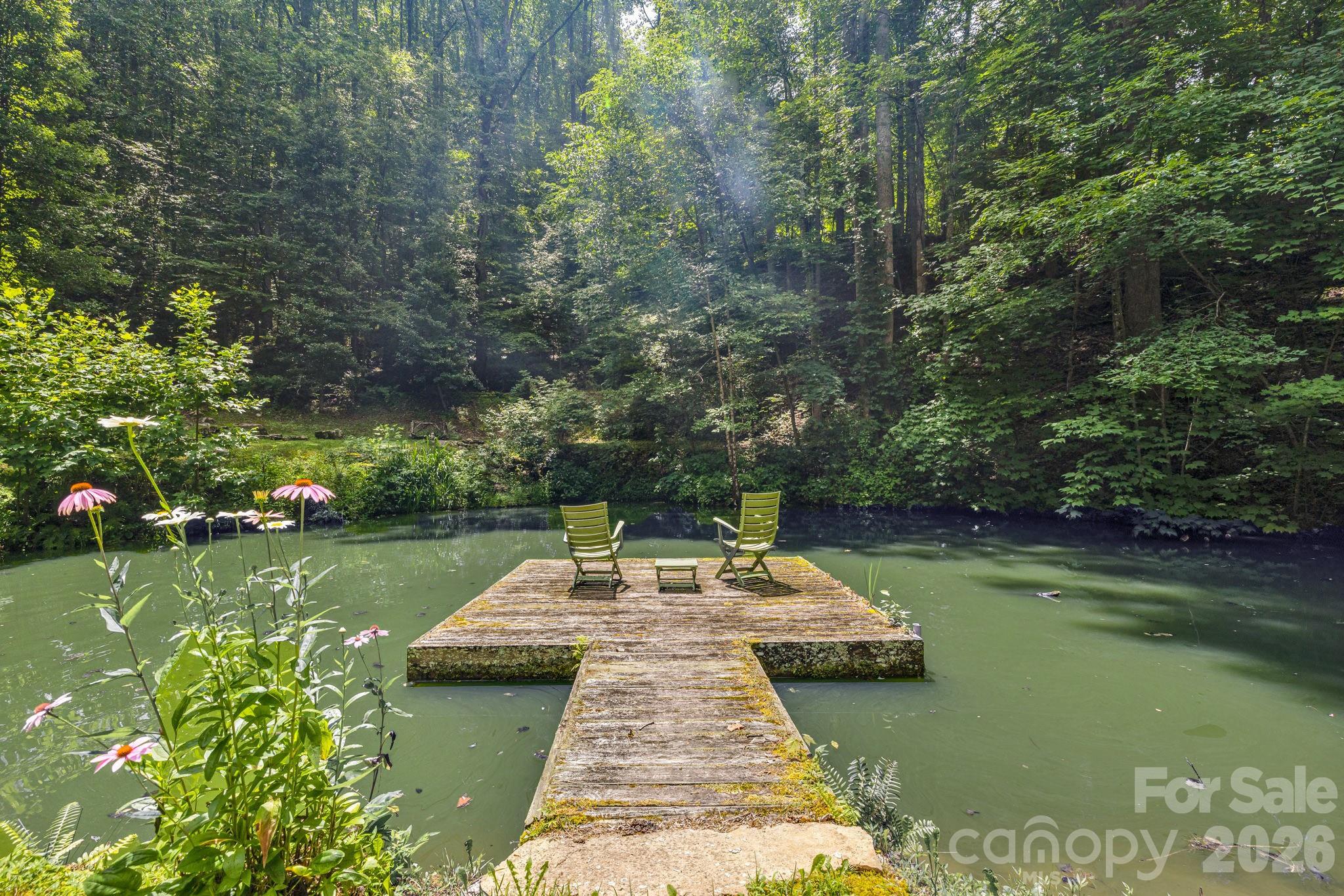1390 Baltimore Branch Road — Hot Springs
