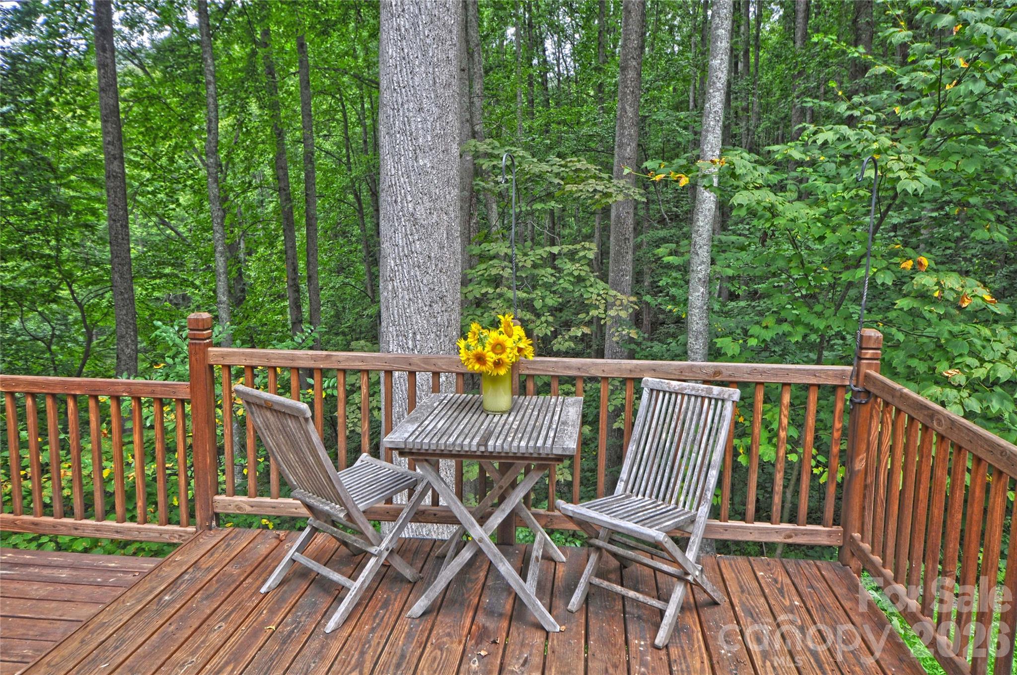 1390 Baltimore Branch Road — Hot Springs