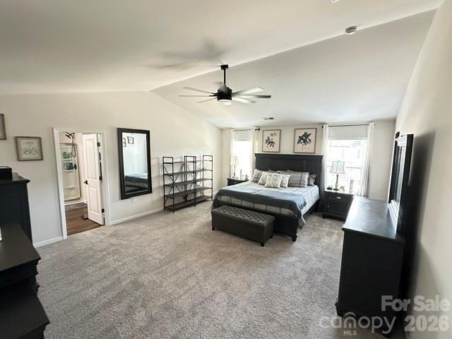 243 Autumn Sage Drive — Locust