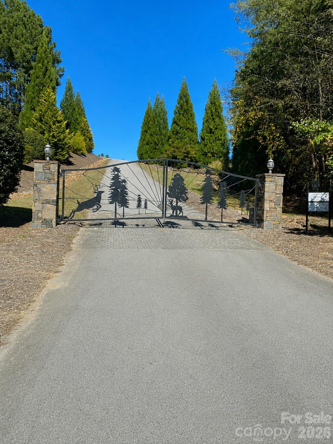 109 Spring Hollow — Mill Spring