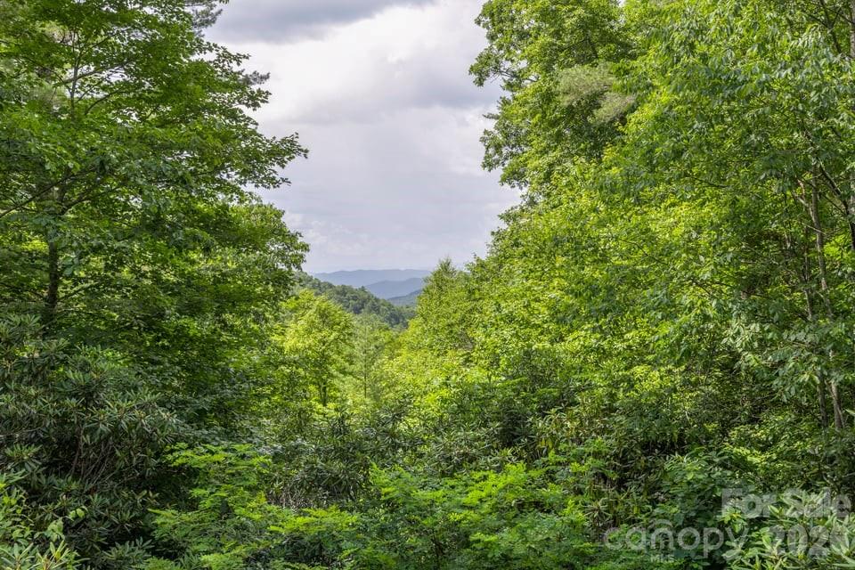 4435 Flat Mountain Road — Highlands