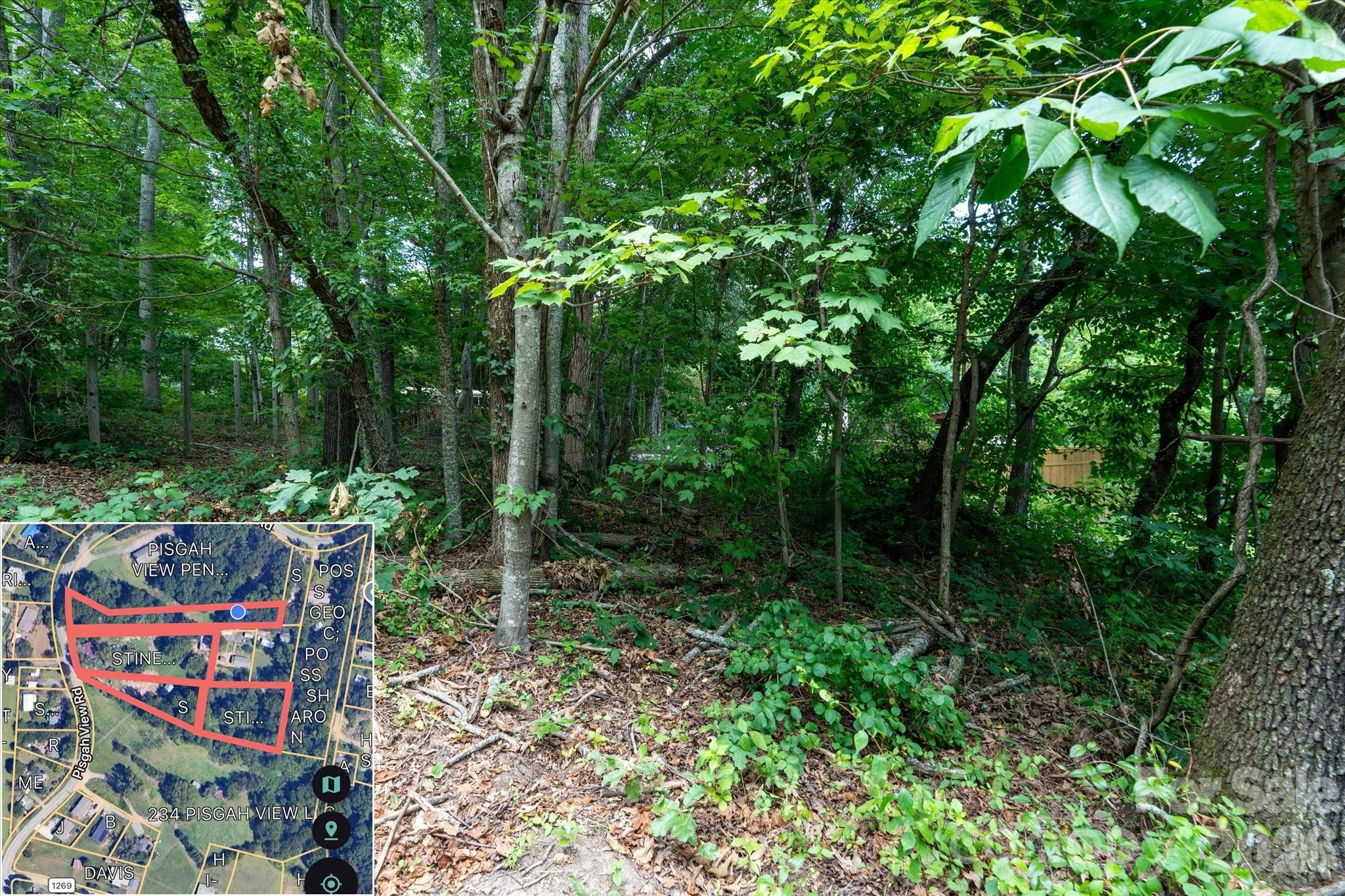 230 Pisgah View Road — Asheville