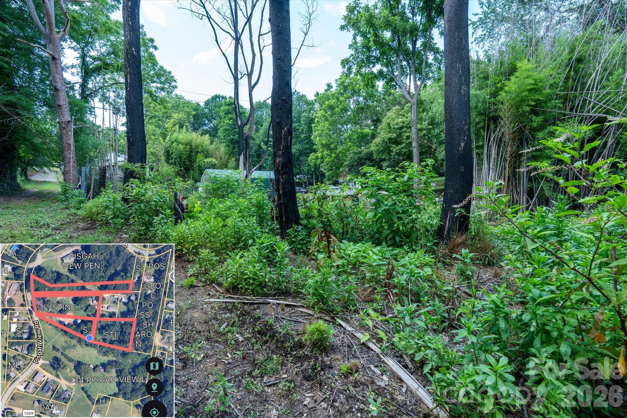 230 Pisgah View Road — Asheville