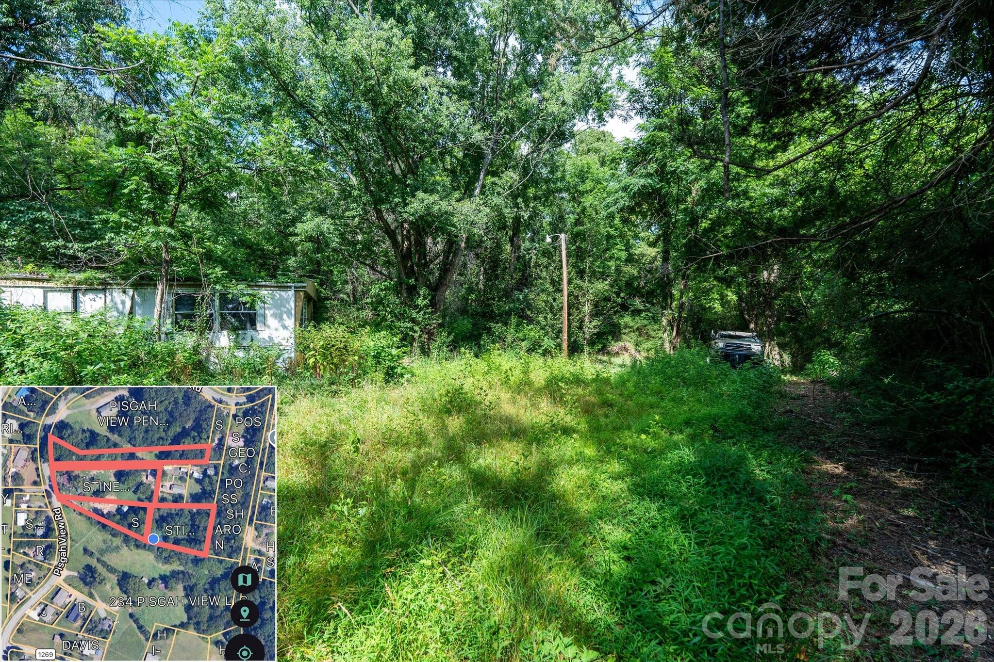 230 Pisgah View Road — Asheville