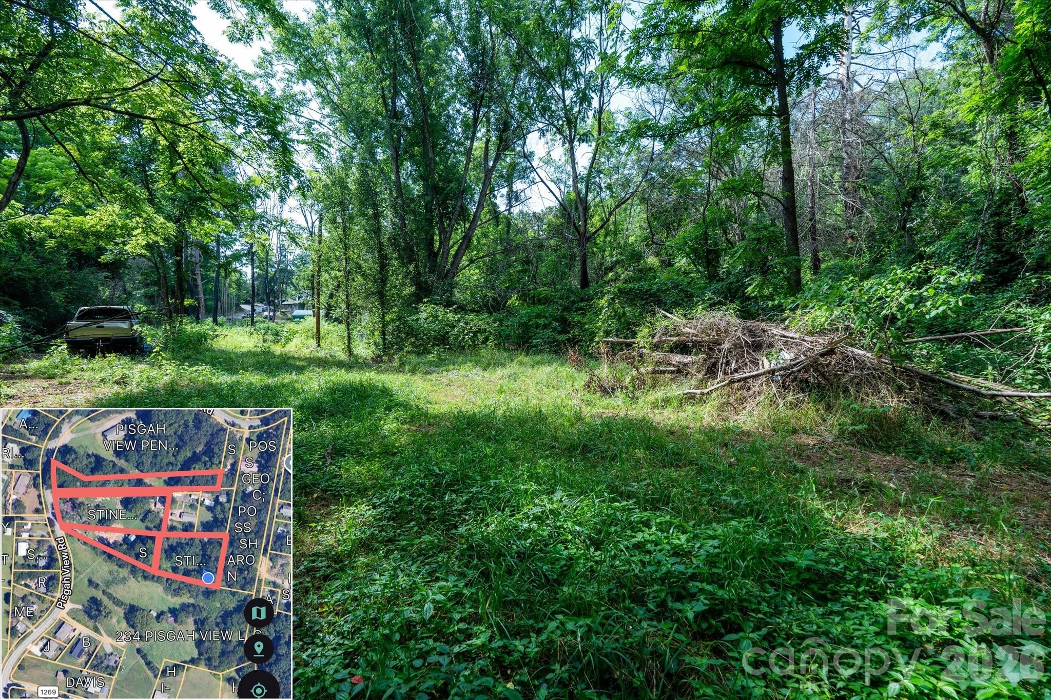230 Pisgah View Road — Asheville