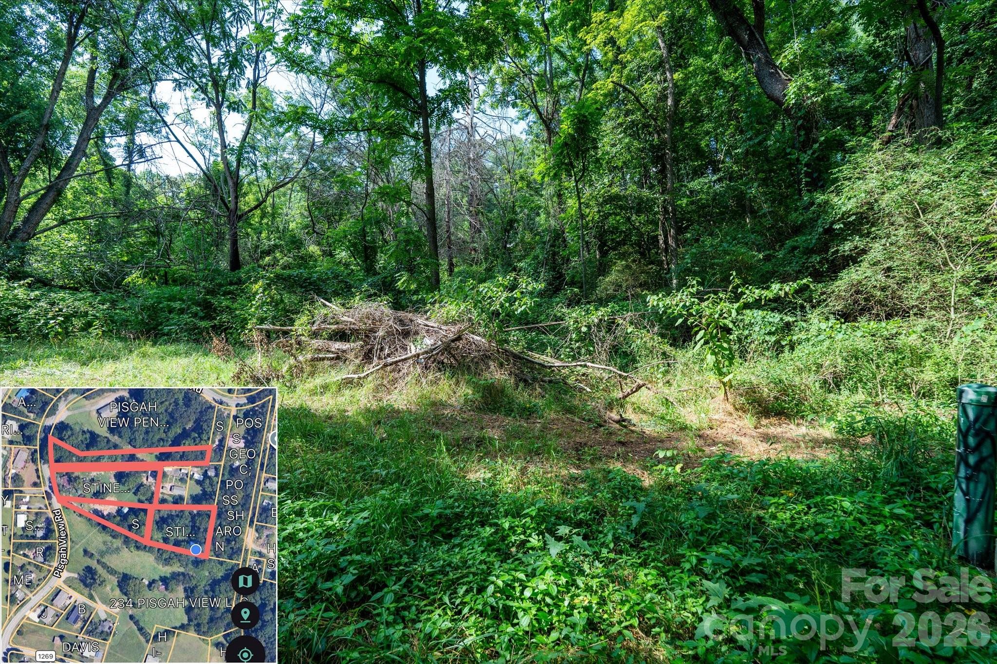 230 Pisgah View Road — Asheville
