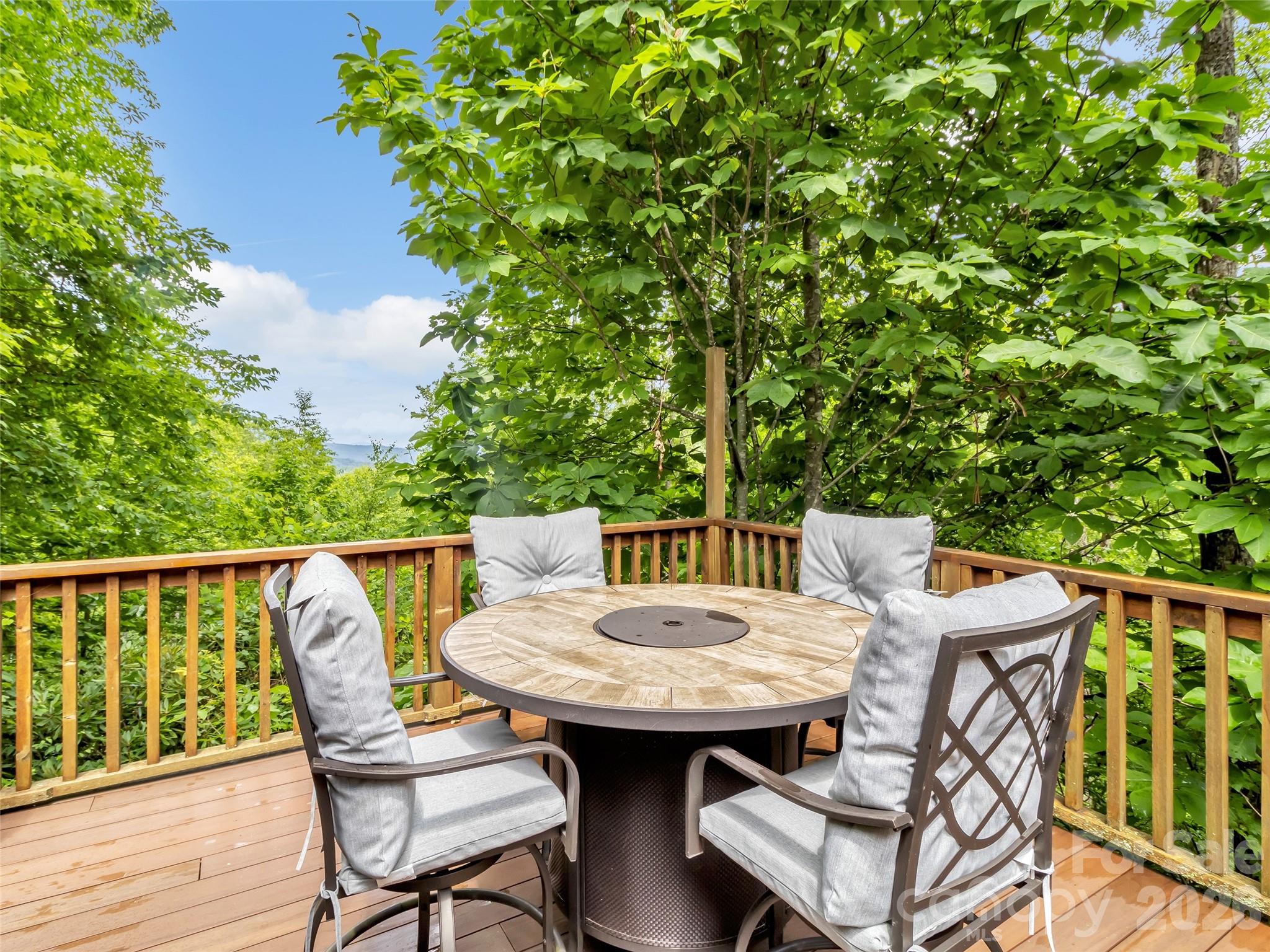 3214 Big Laurel Road — Waynesville