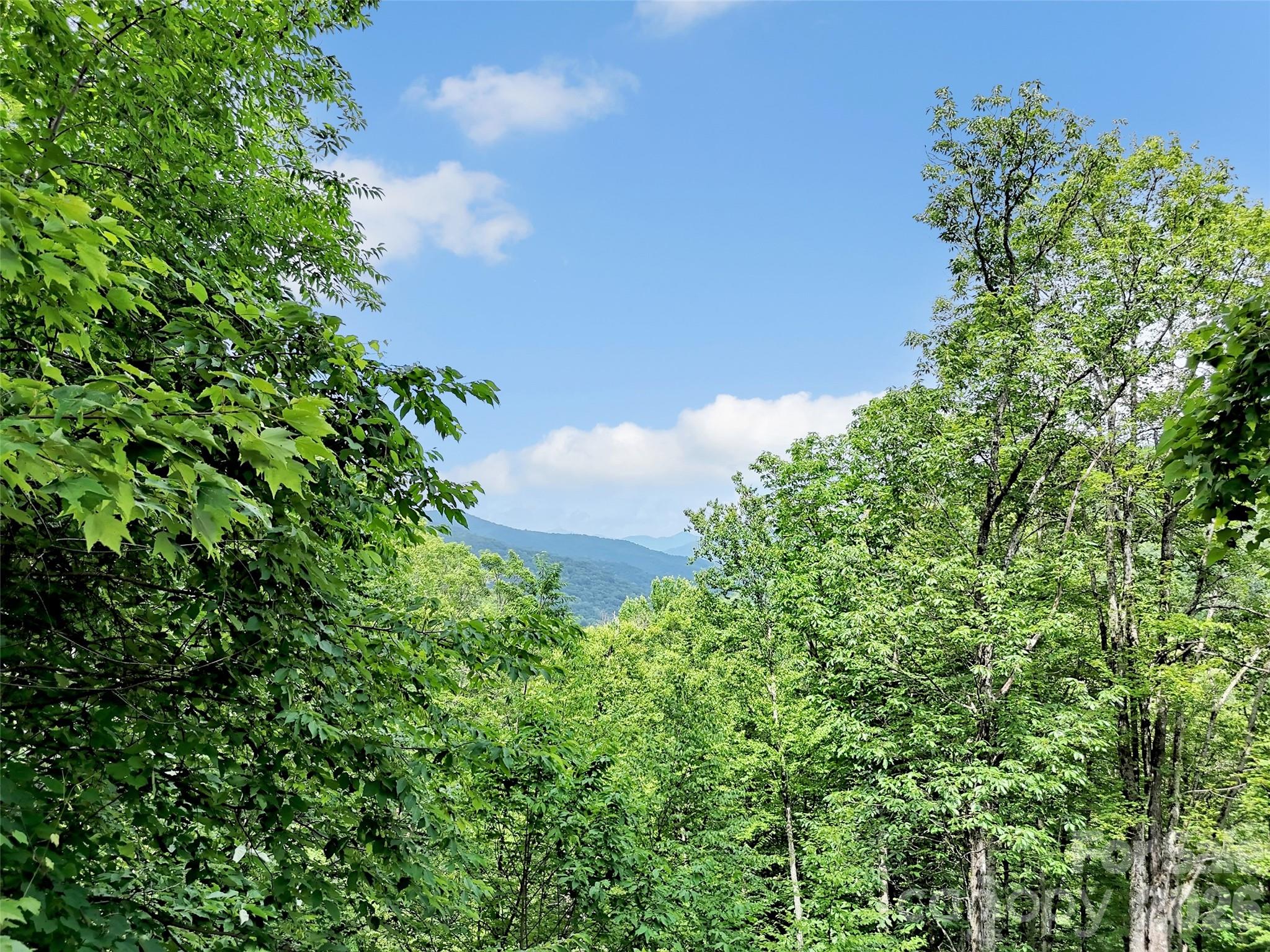 3214 Big Laurel Road — Waynesville