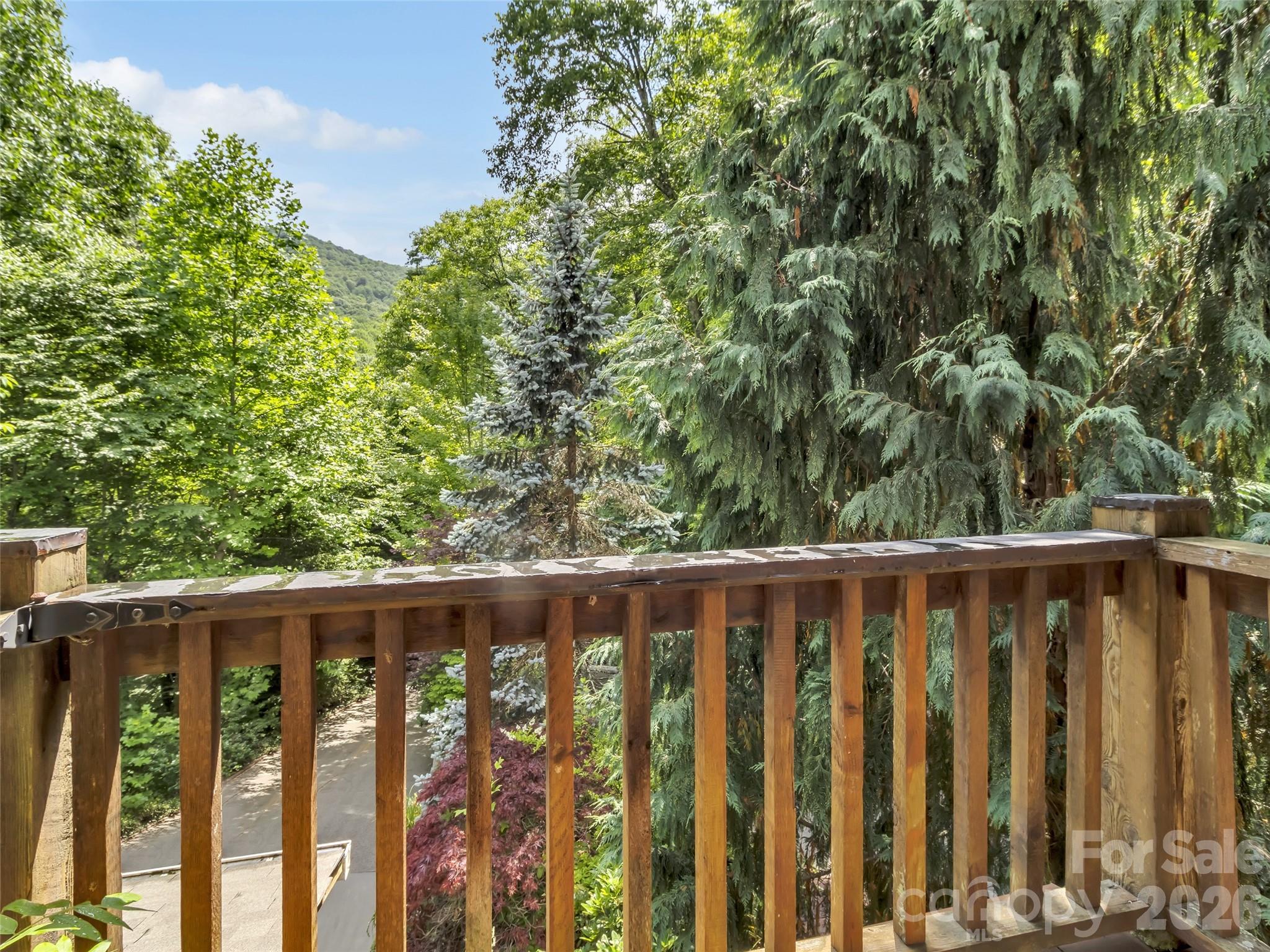 3214 Big Laurel Road — Waynesville