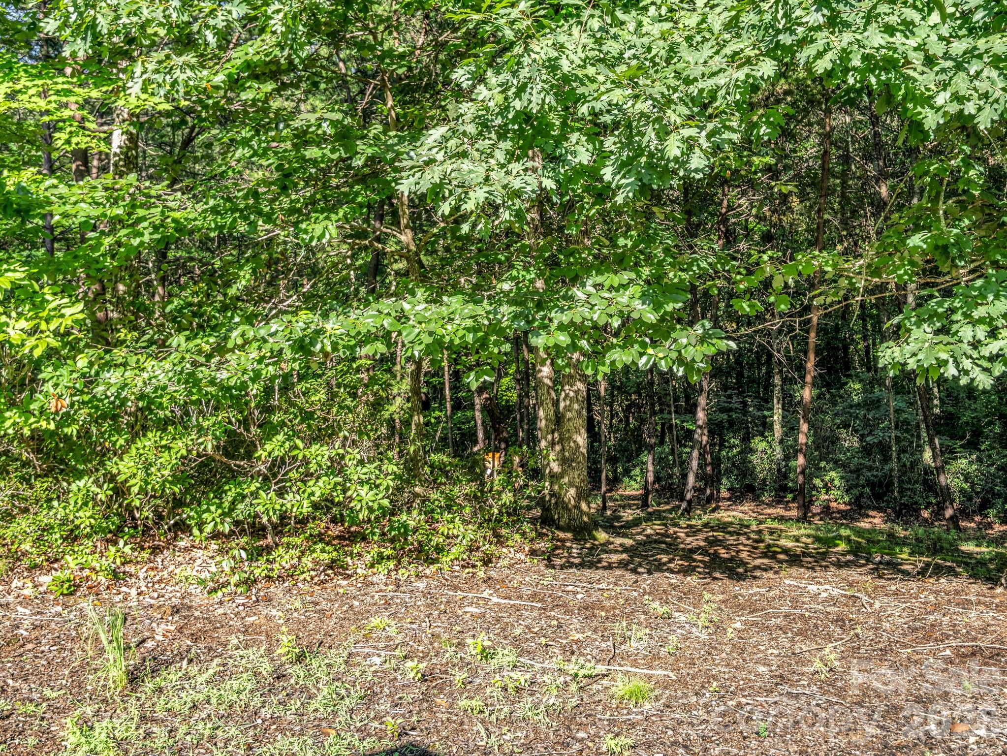 141 Dalton Court — Lake Lure