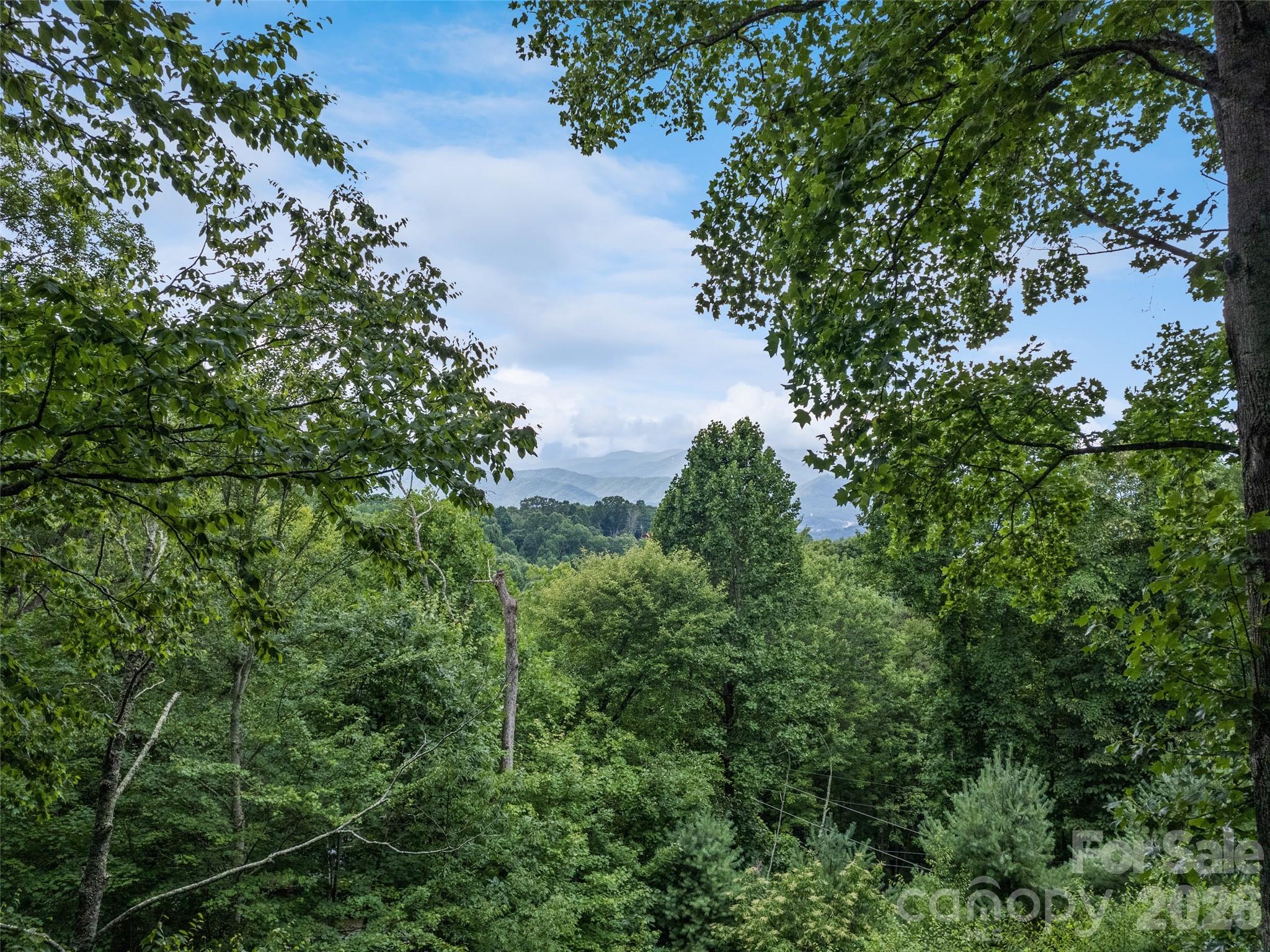 80 Merrie Way — Waynesville