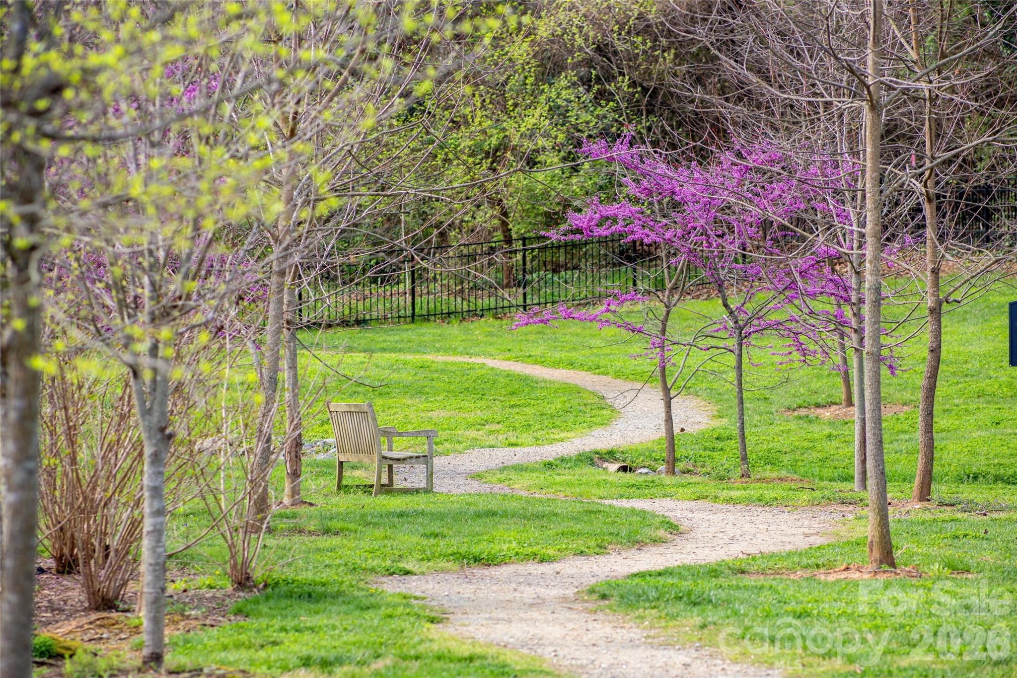 2649 Chesterfield Avenue — Charlotte