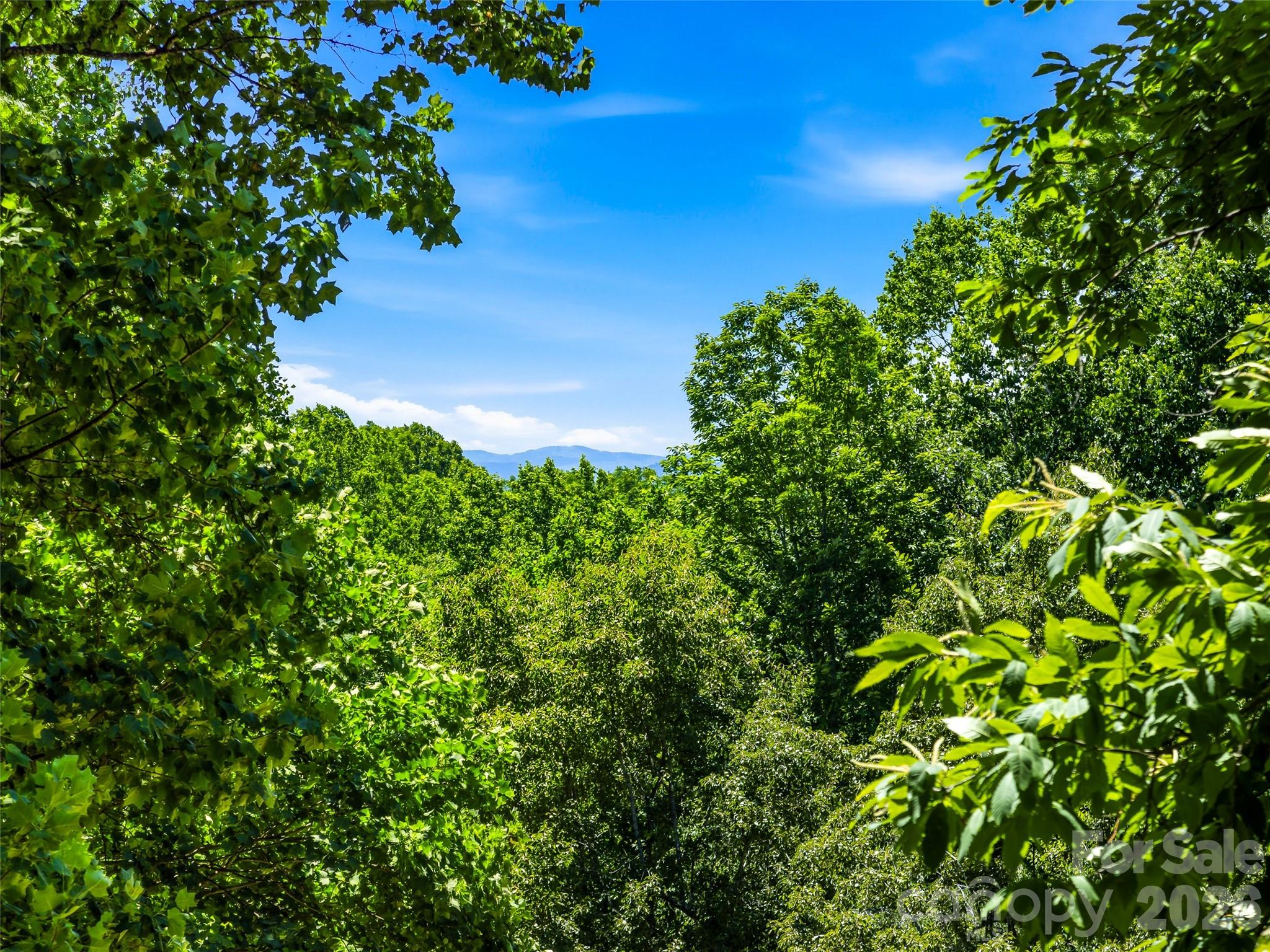 518 Starmount Lane — Hendersonville