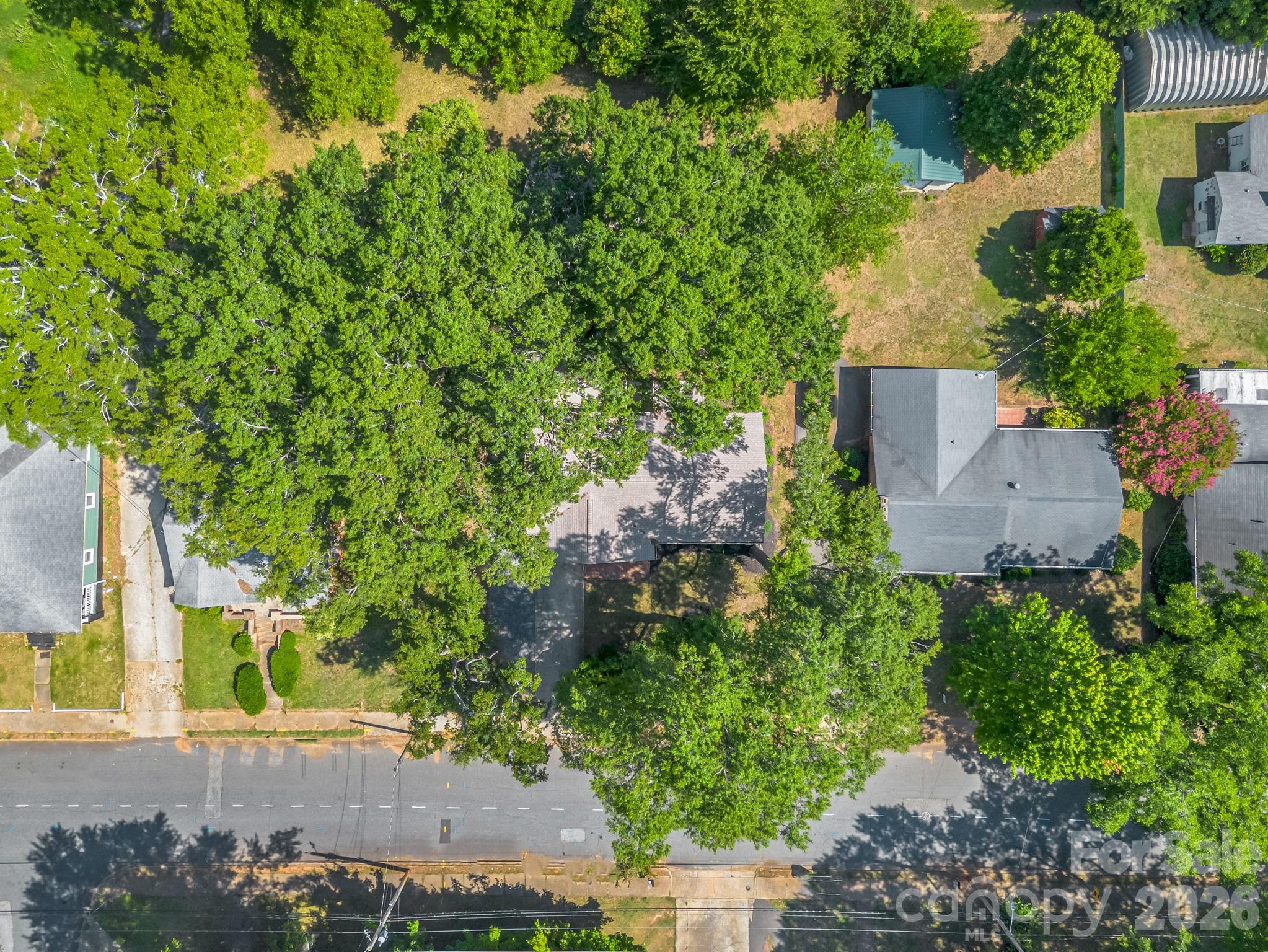 319 Arlington Street — Forest City