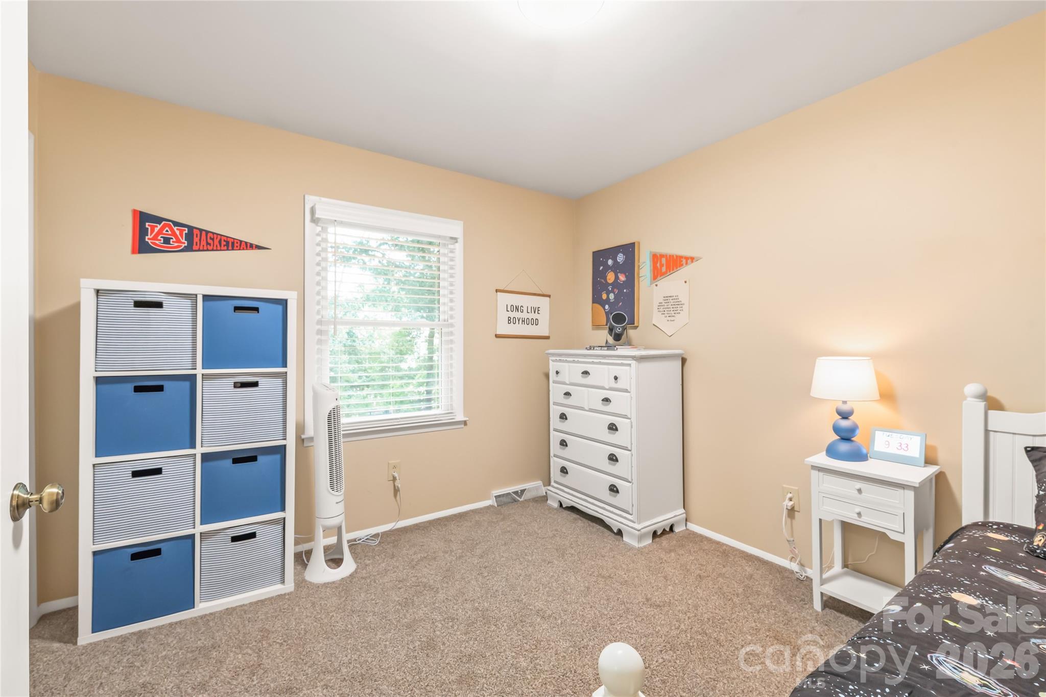 8711 Houston Ridge Road — Charlotte
