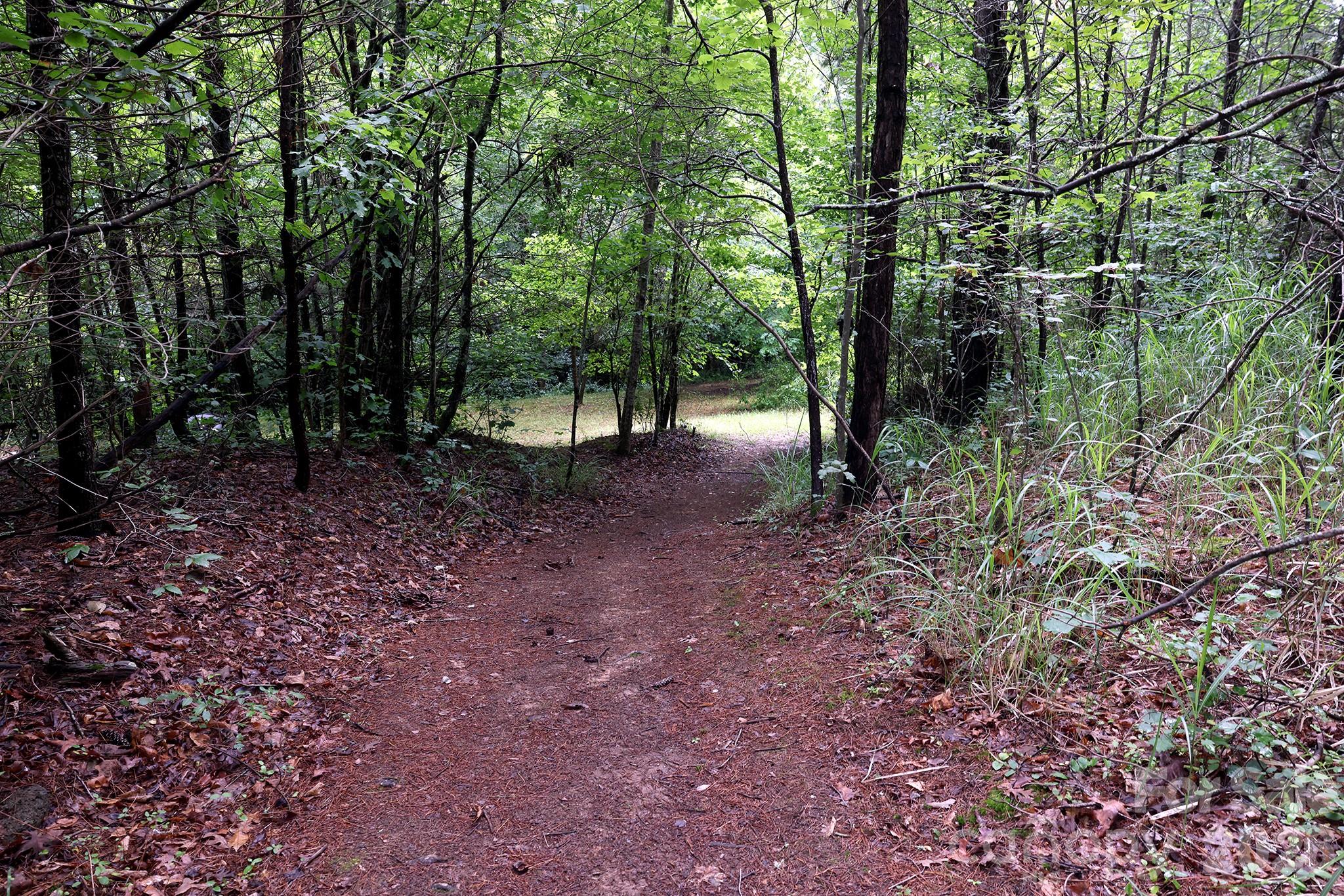 30 Double Brook Drive — Weaverville