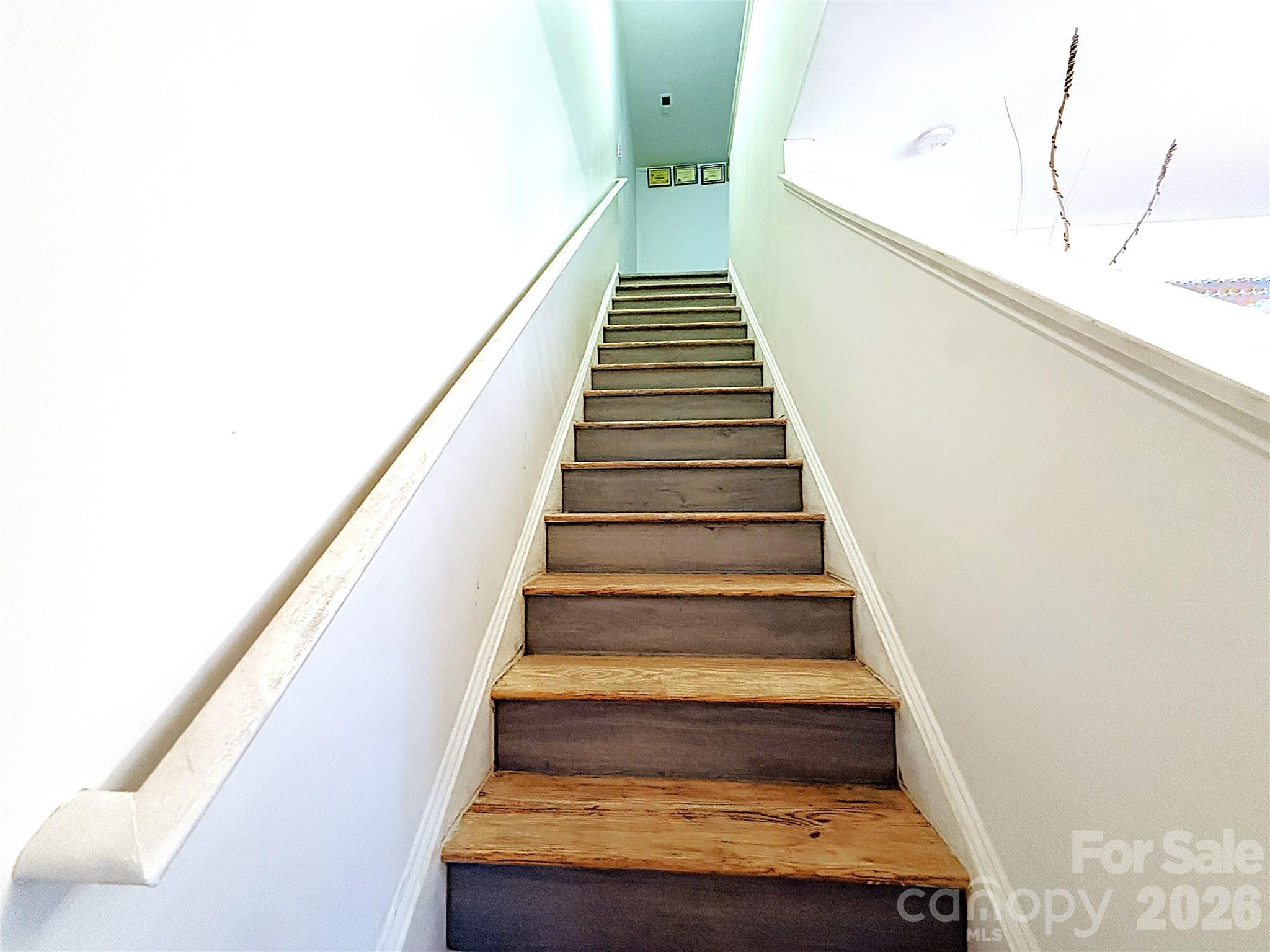 8703 Earthenware Drive — Charlotte