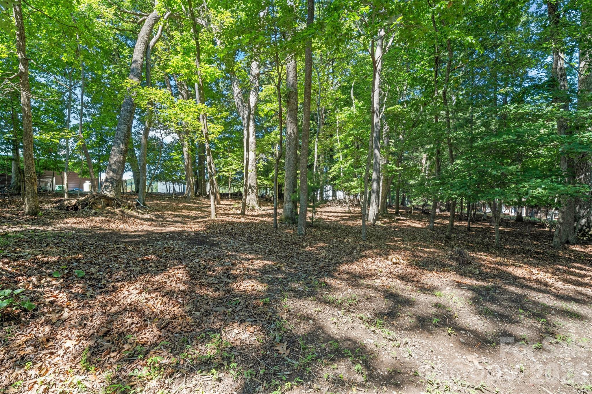 55 Overlook Drive — Candler