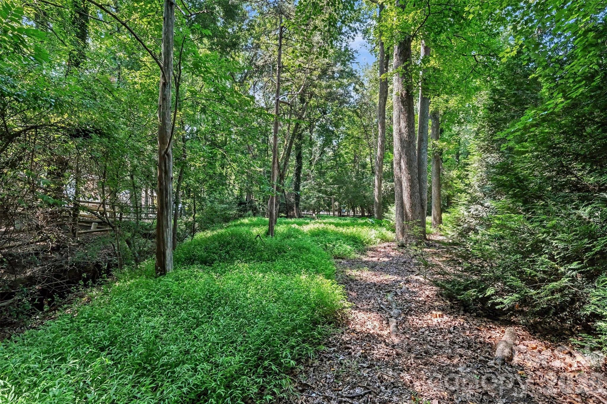 8537 Furrier Drive — Charlotte