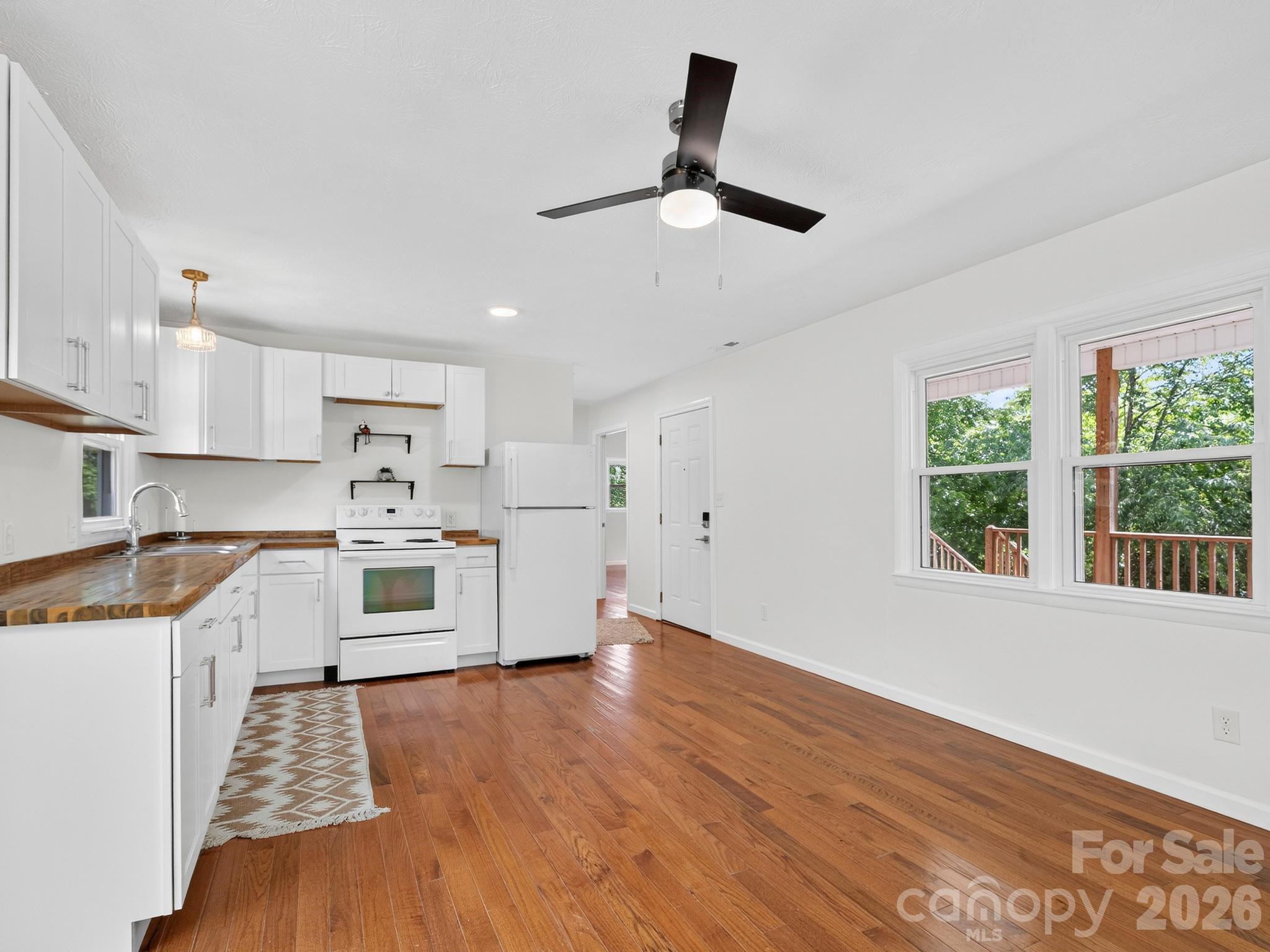 47 Carolina Mountain Drive — Candler