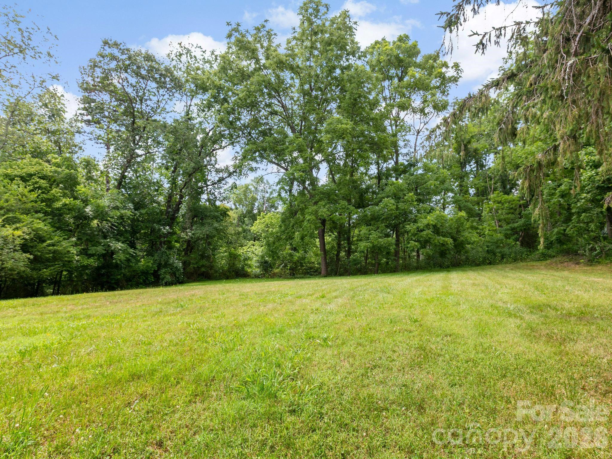 47 Carolina Mountain Drive — Candler