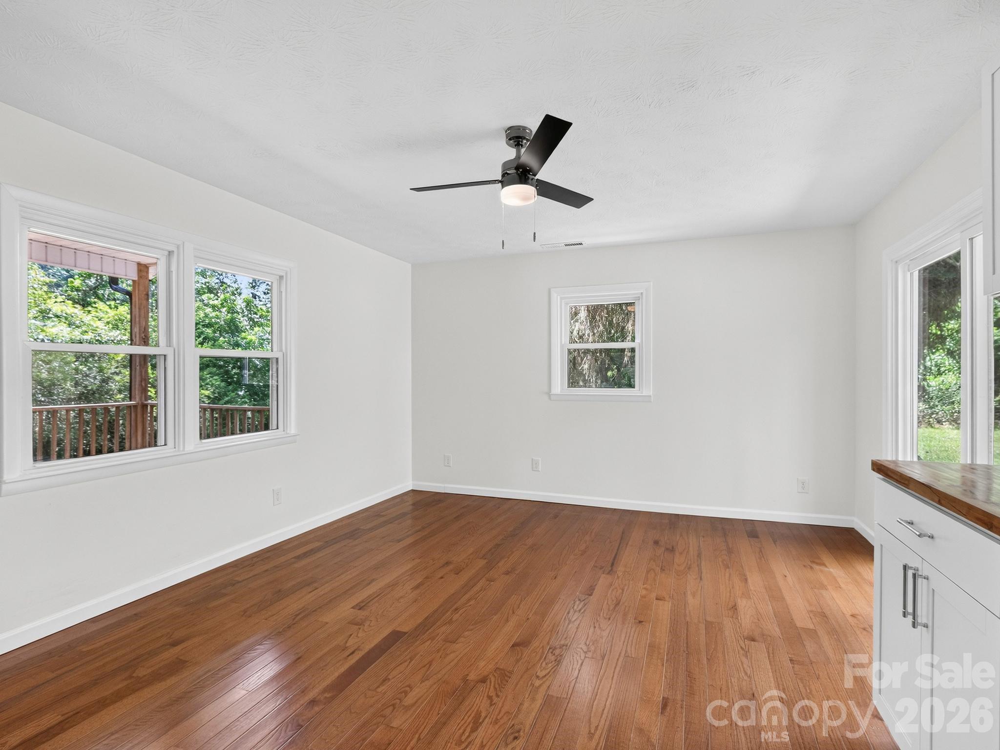 47 Carolina Mountain Drive — Candler