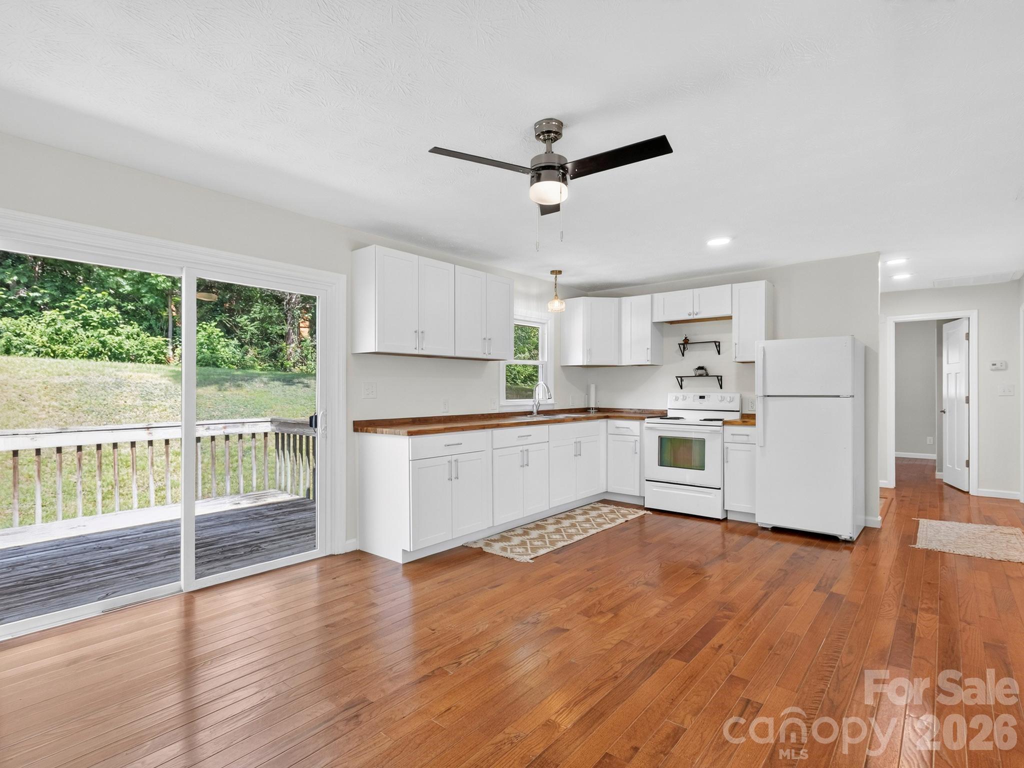 47 Carolina Mountain Drive — Candler