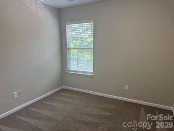 17450 Caldwell Track Drive — Cornelius
