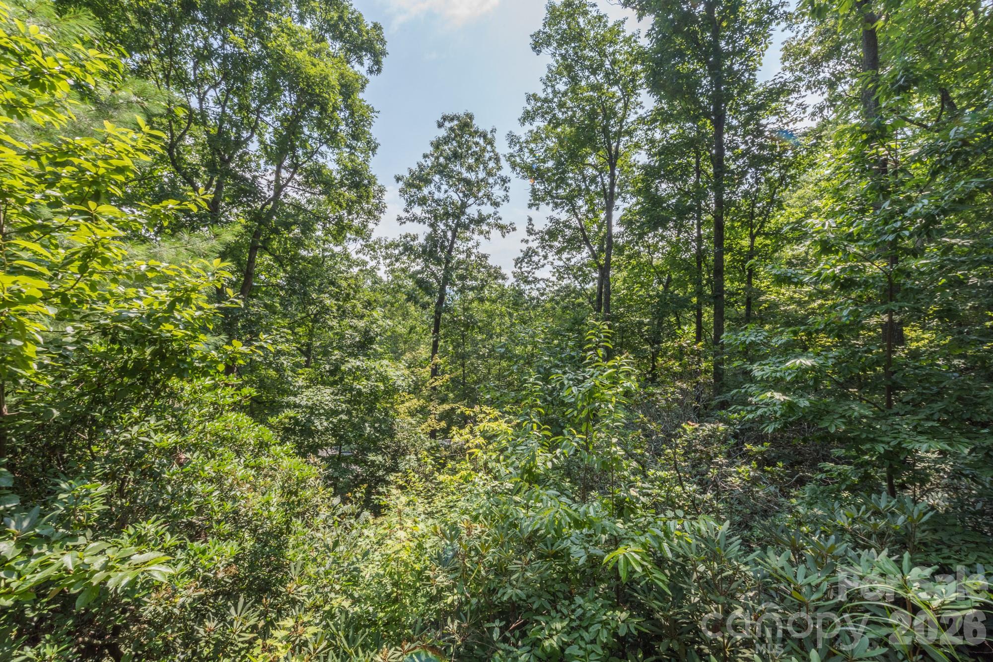 275 Allen Mountain Drive — Black Mountain