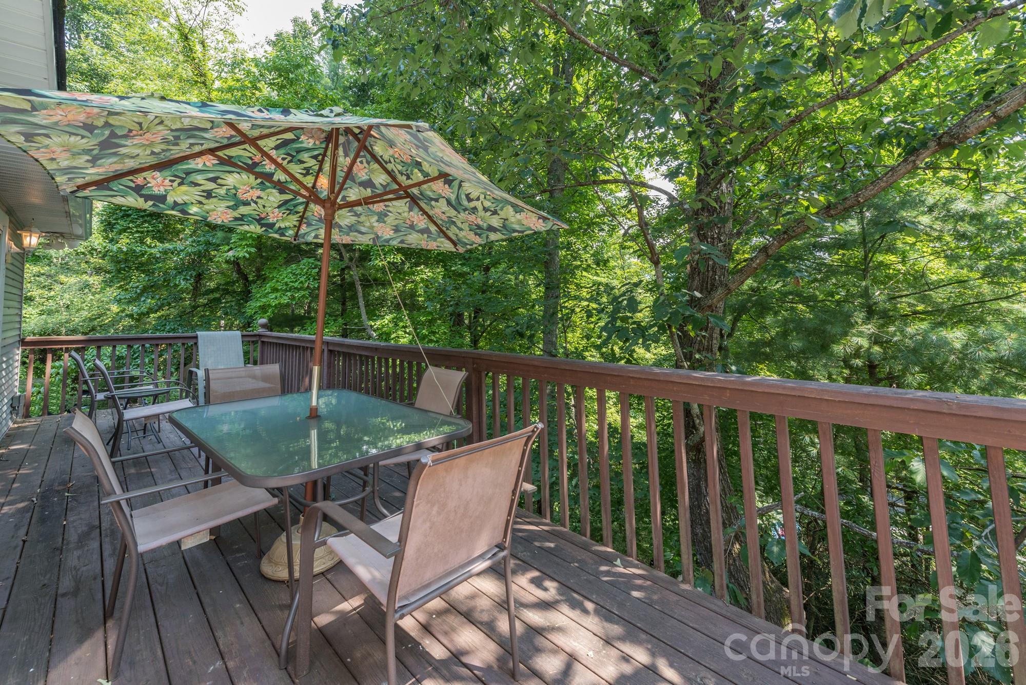 275 Allen Mountain Drive — Black Mountain