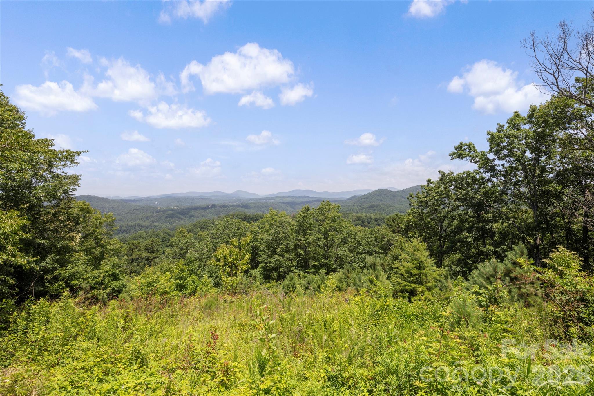 354 Boulder View Drive — Flat Rock