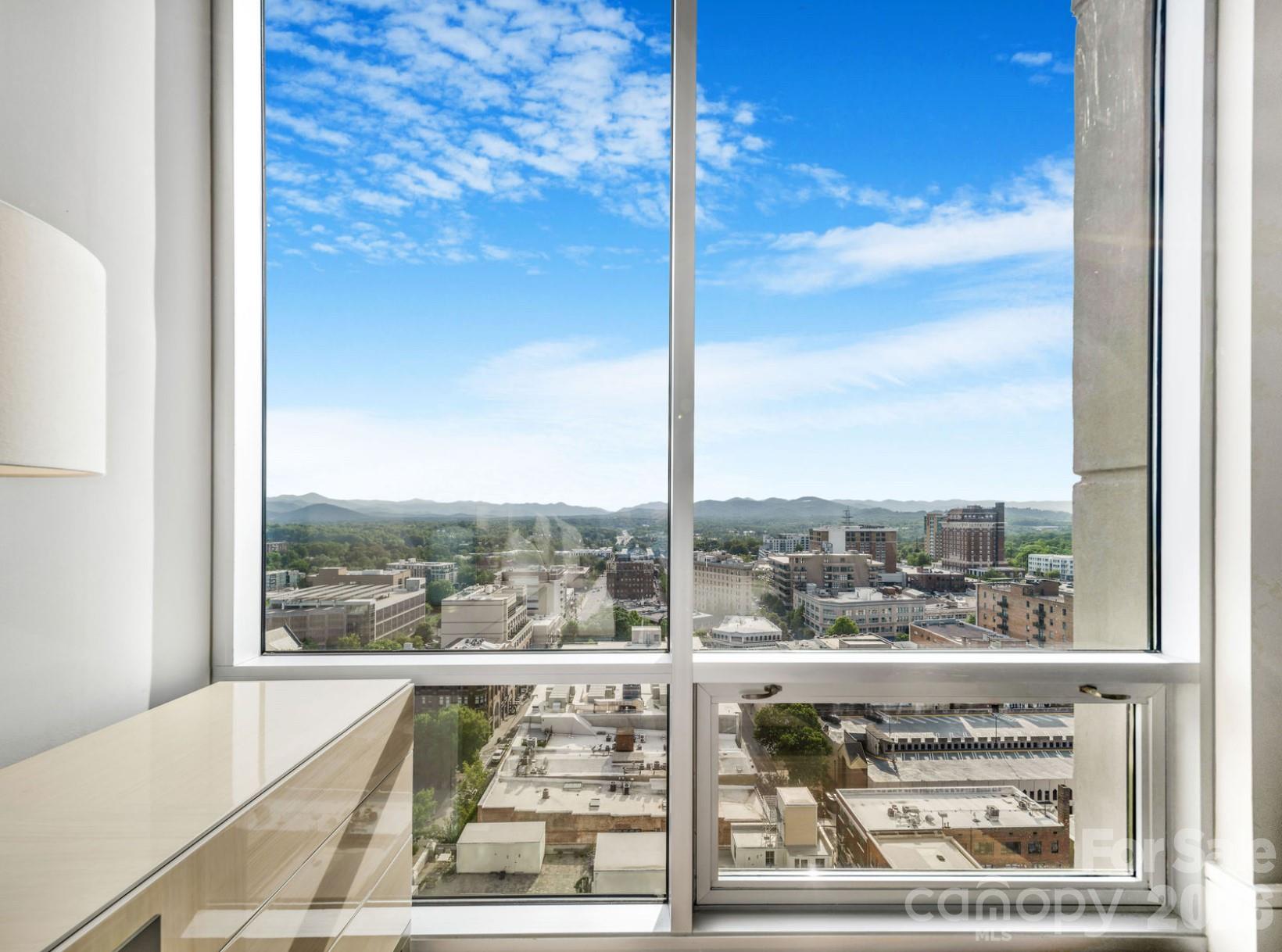 7 Patton Avenue #1605 — Asheville
