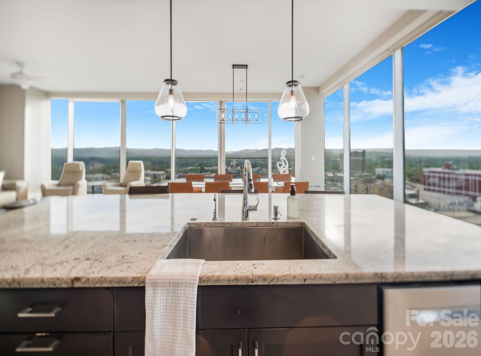 7 Patton Avenue #1605 — Asheville