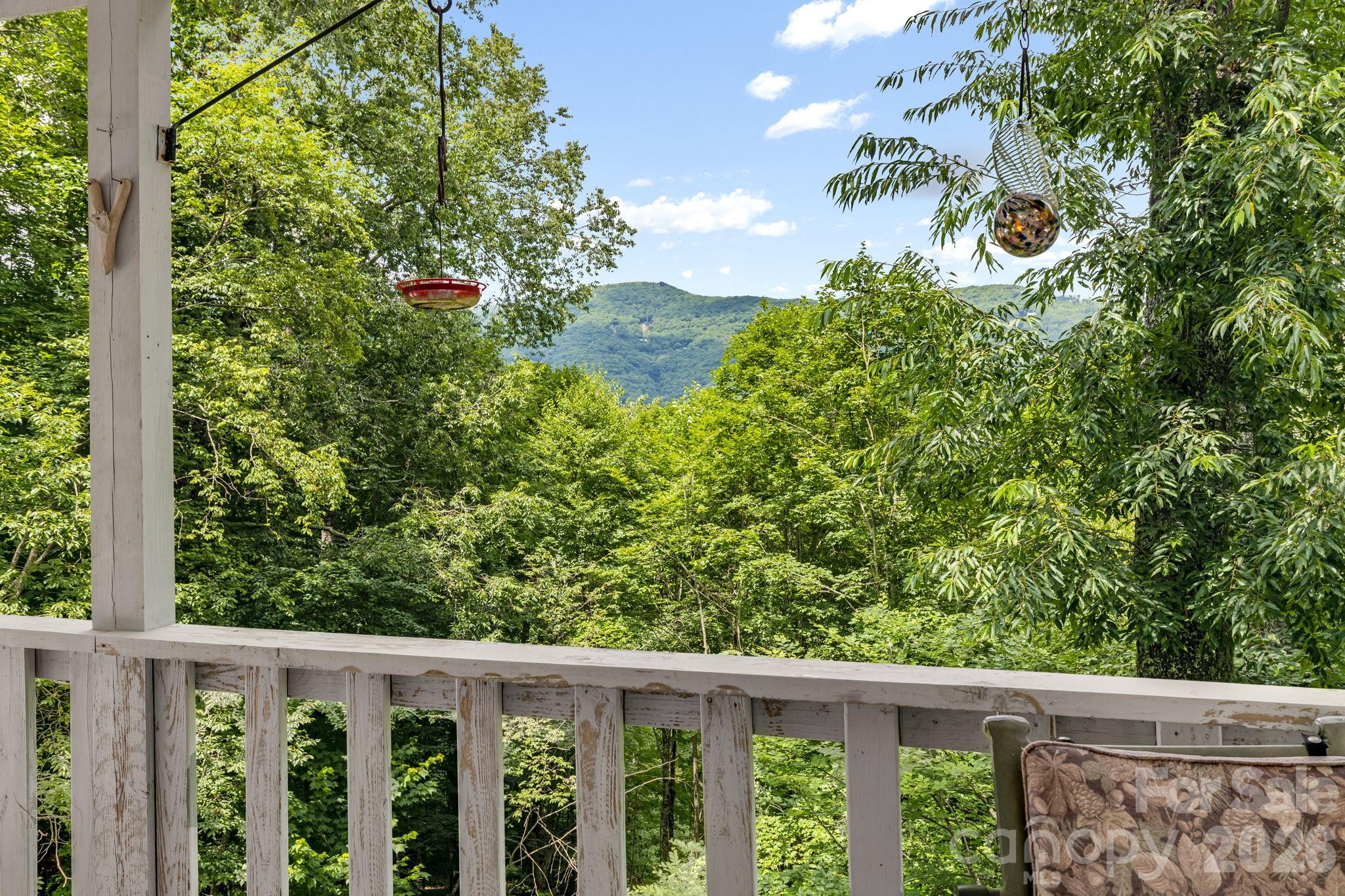 38 Bee Tree Lane — Mars Hill