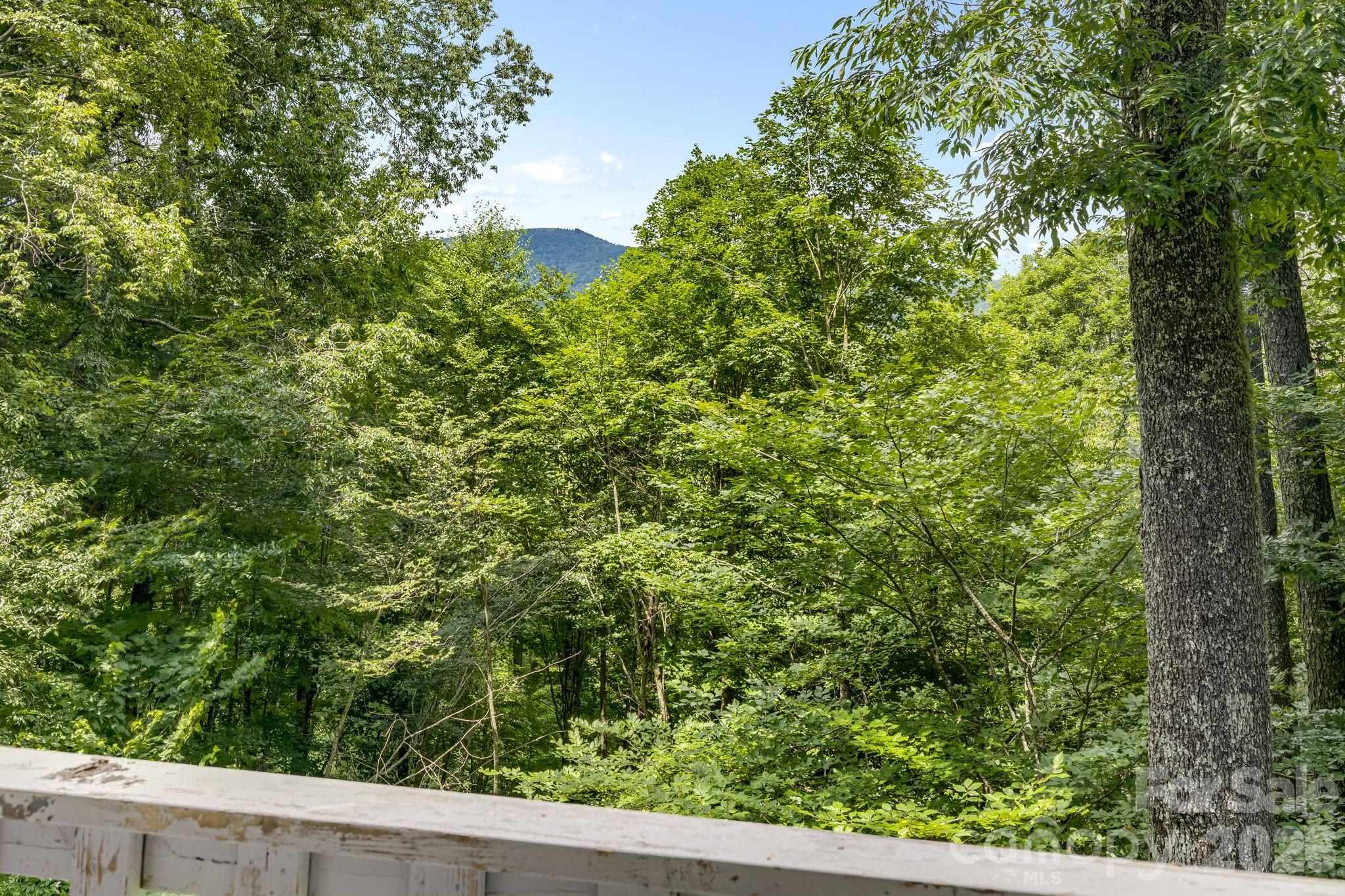 38 Bee Tree Lane — Mars Hill