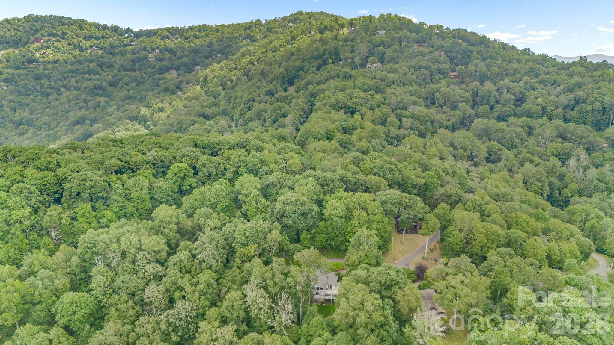 38 Bee Tree Lane — Mars Hill