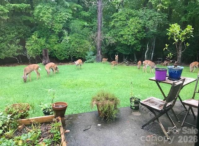 84 Greenwood Acres Drive — Mills River