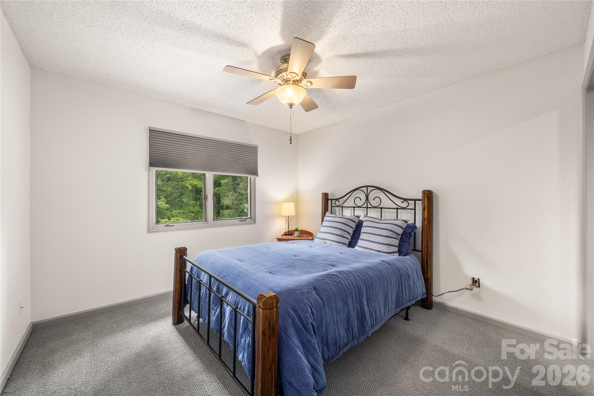 106 Deerlake Drive — Asheville
