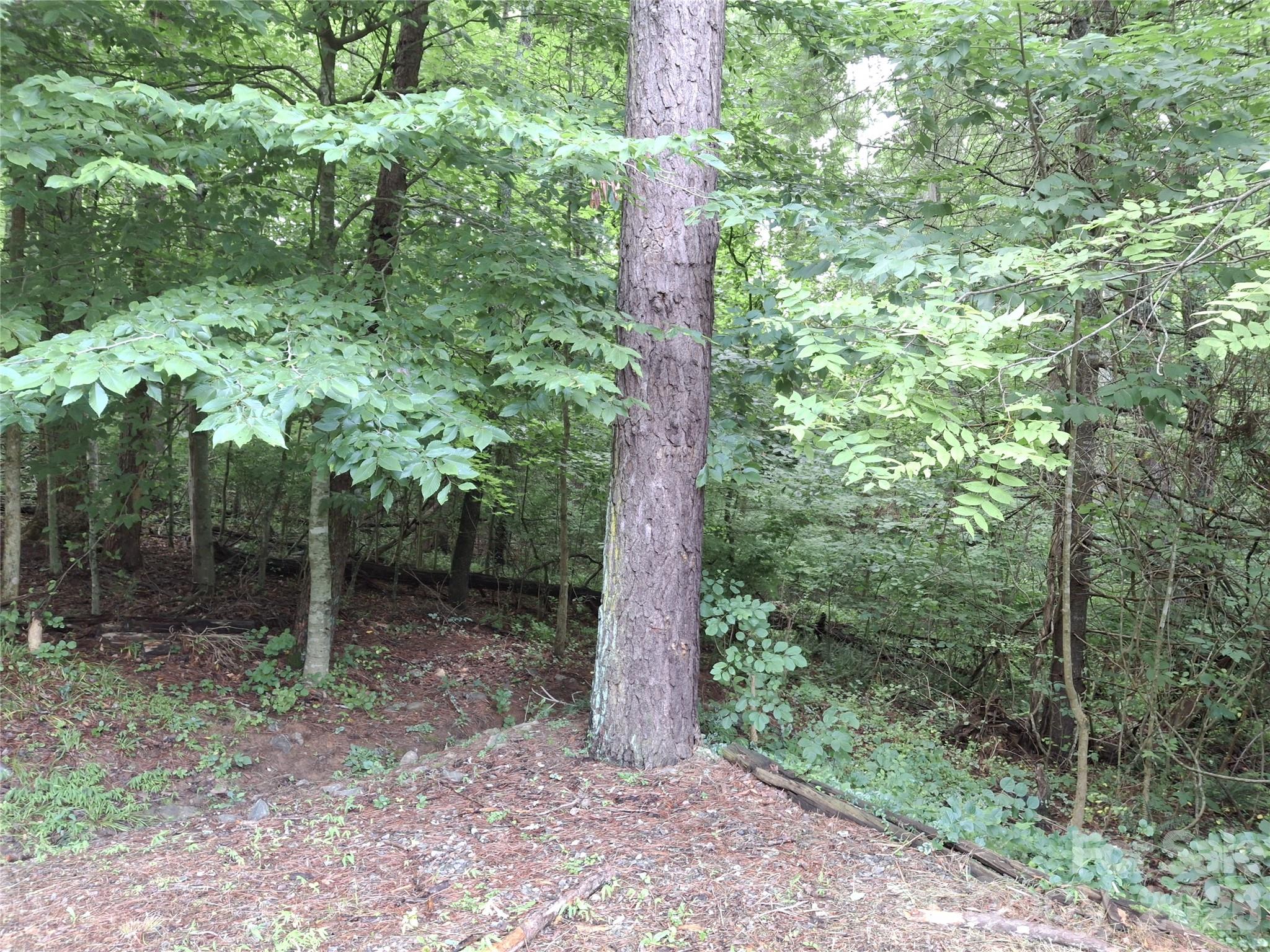 232 Tilson Drive — Mars Hill
