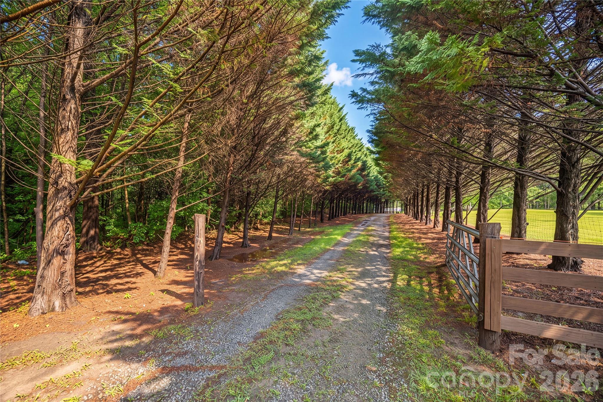 3323 Sadler Road — Alexis