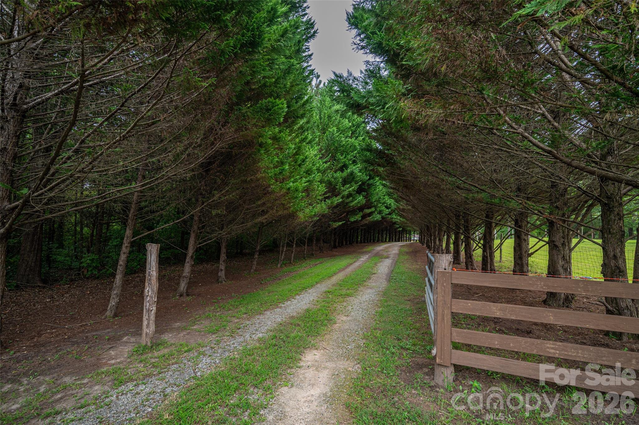 3323 Sadler Road — Alexis