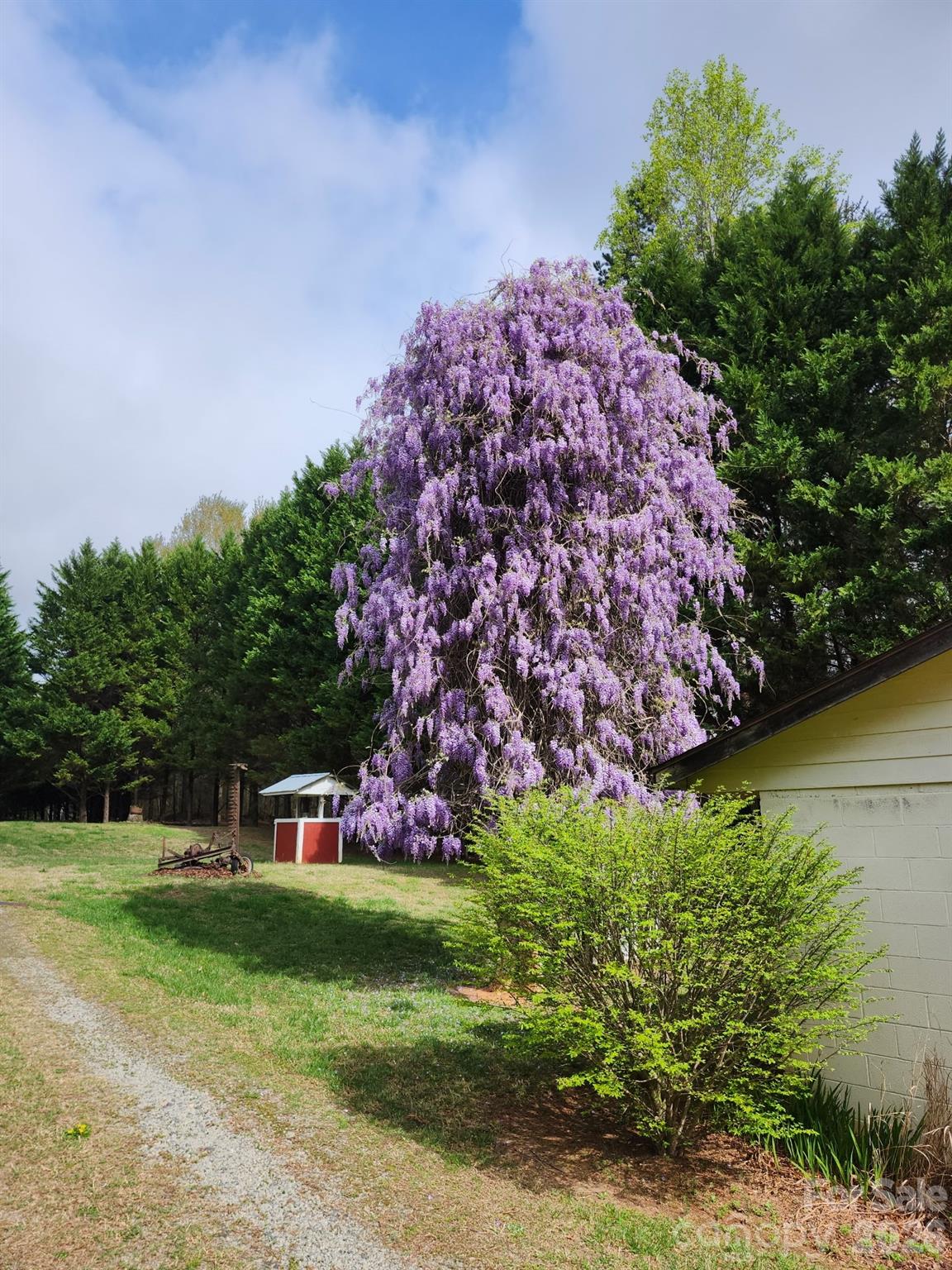 3323 Sadler Road — Alexis
