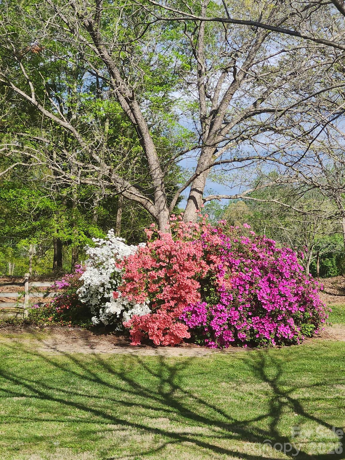 3323 Sadler Road — Alexis