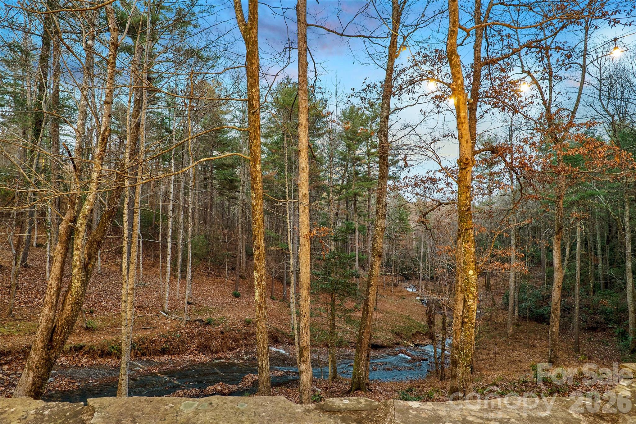 125 Little Willow Circle — Hendersonville