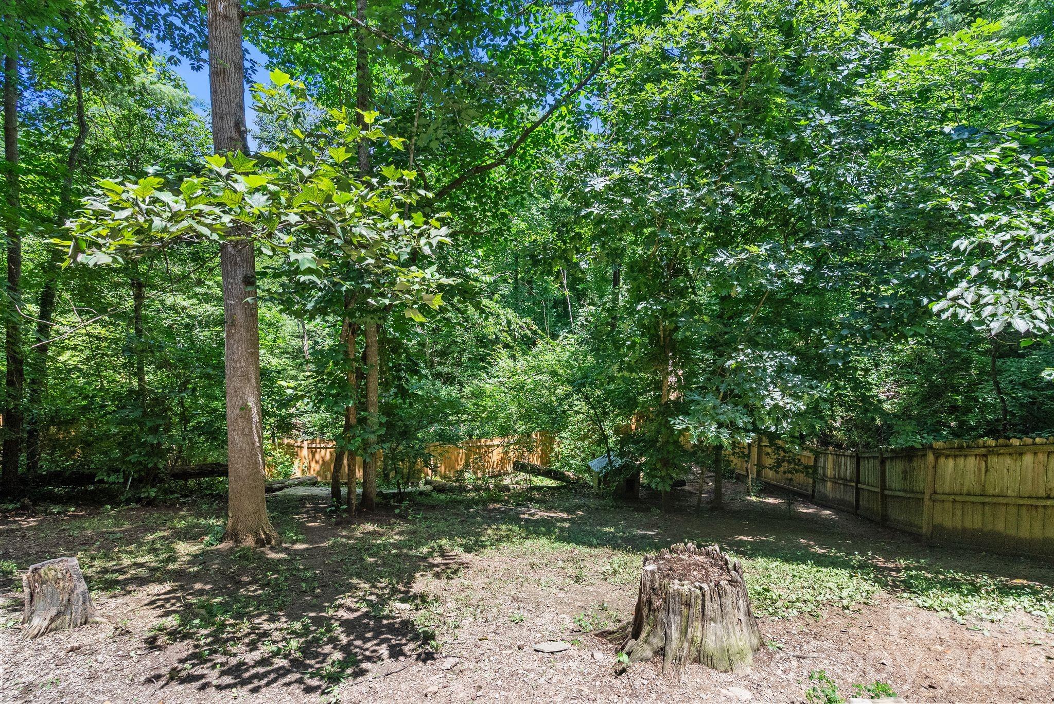 15 Forest Ridge Lane — Weaverville