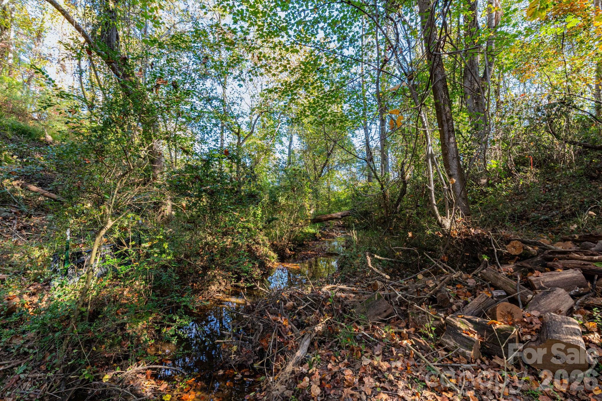 30 Waynesville Avenue — Asheville